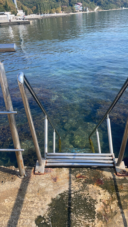 Фото Green Apple