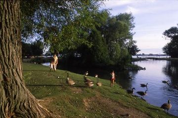 Фото Comfort Inn Sault Ste. Marie