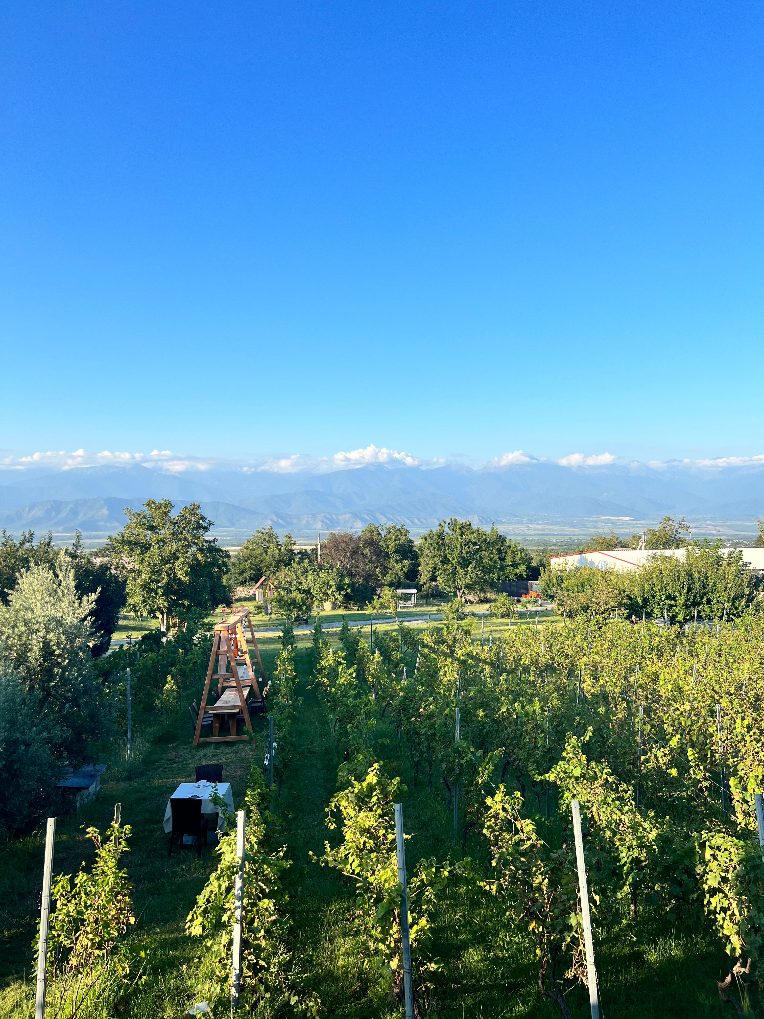 Фото Schuchmann Wines Chateau & SPA