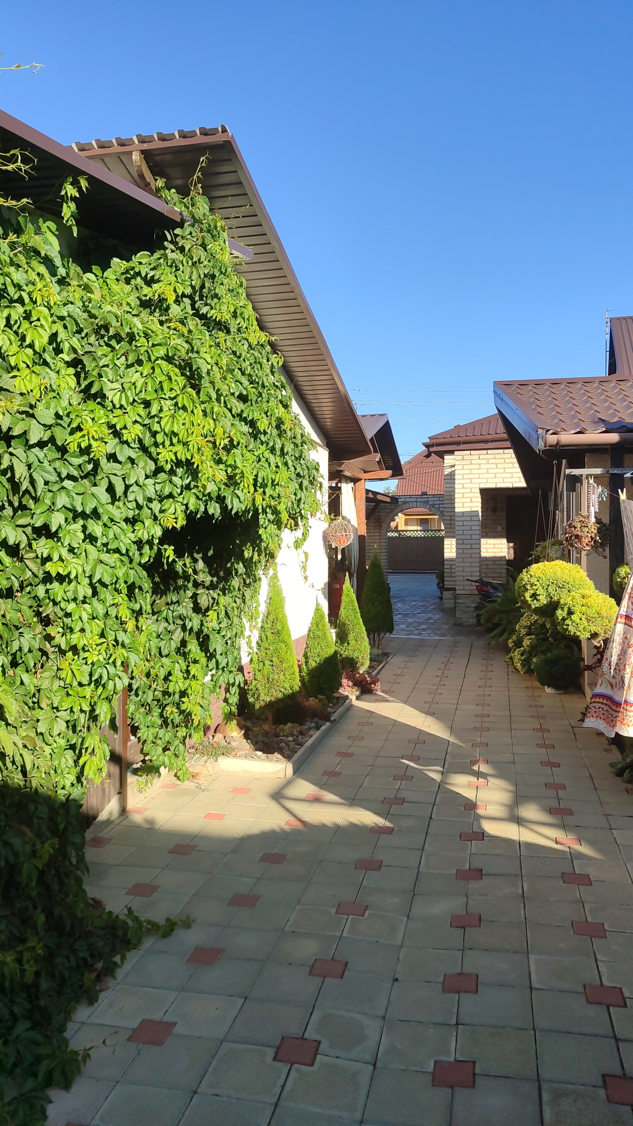 Фото Семейный