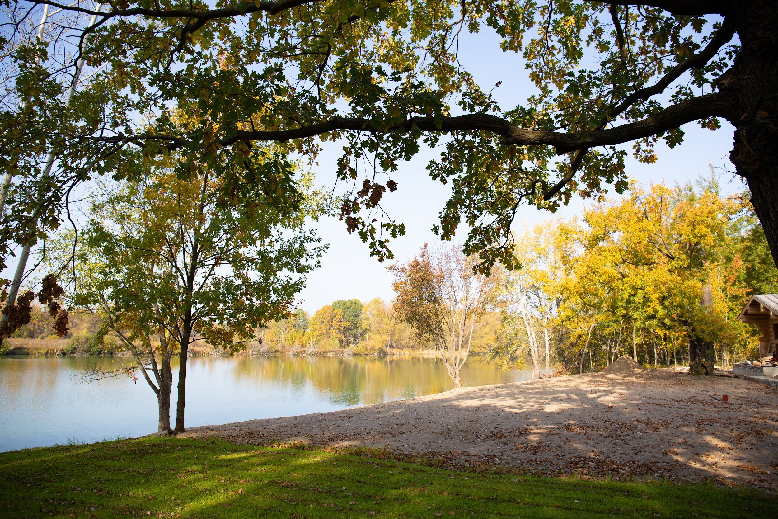 Фото Природа