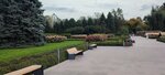 Botanical Garden Alley (Clement Timiryazev Street, 36Д), landmark, attraction