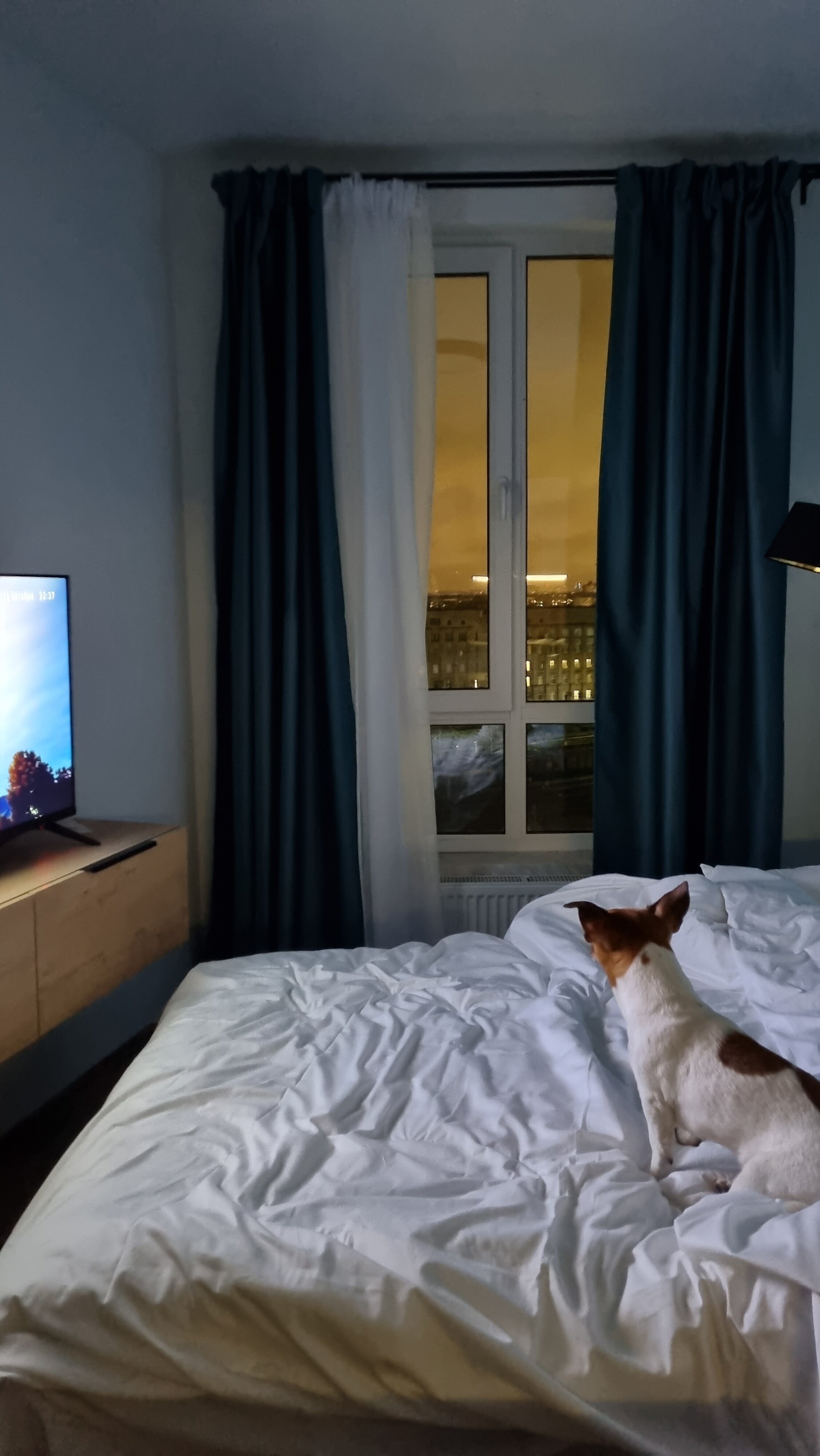 Фото Начало