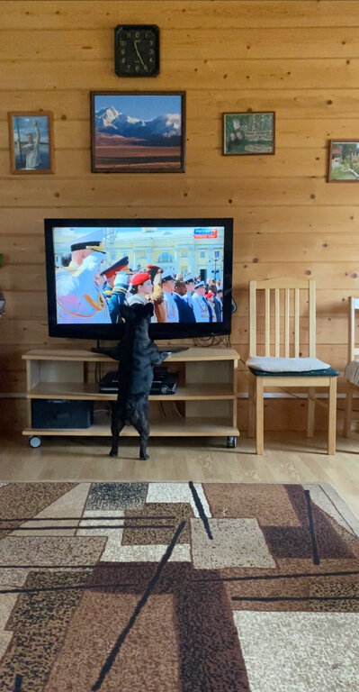 Фото Плотично