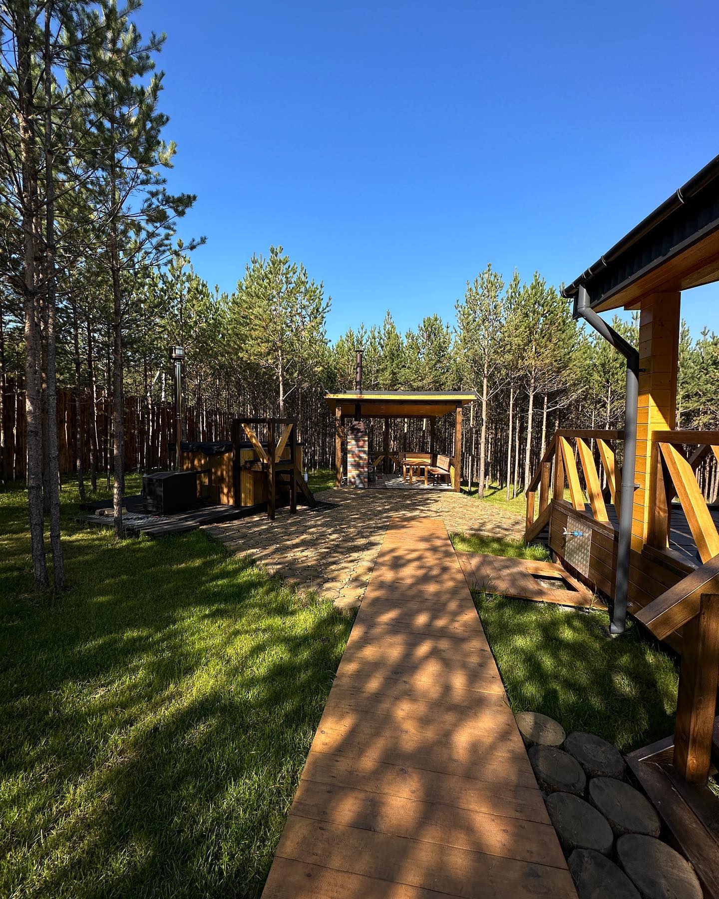 Фото Два Лося