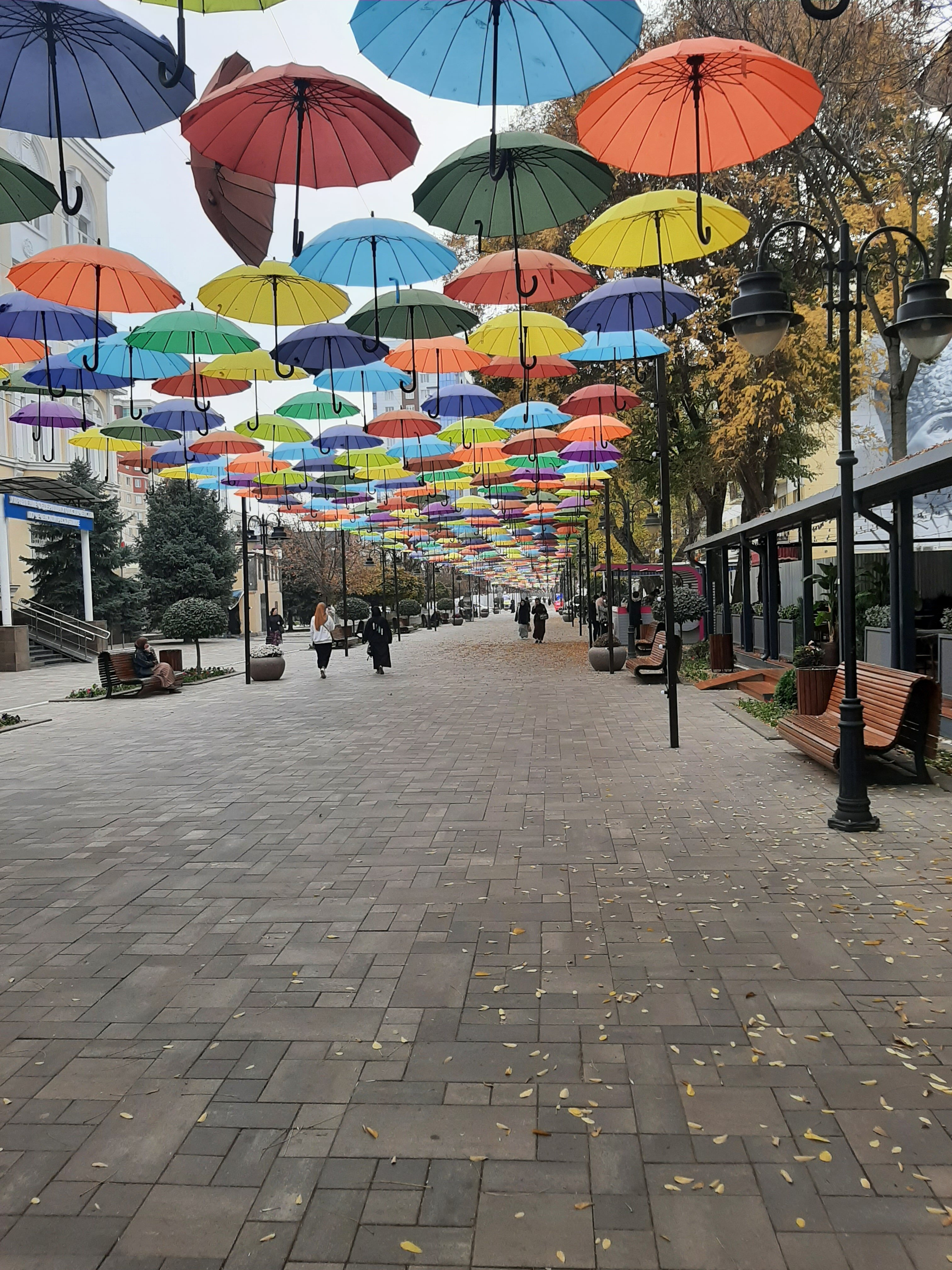 Фото Sintem Premium