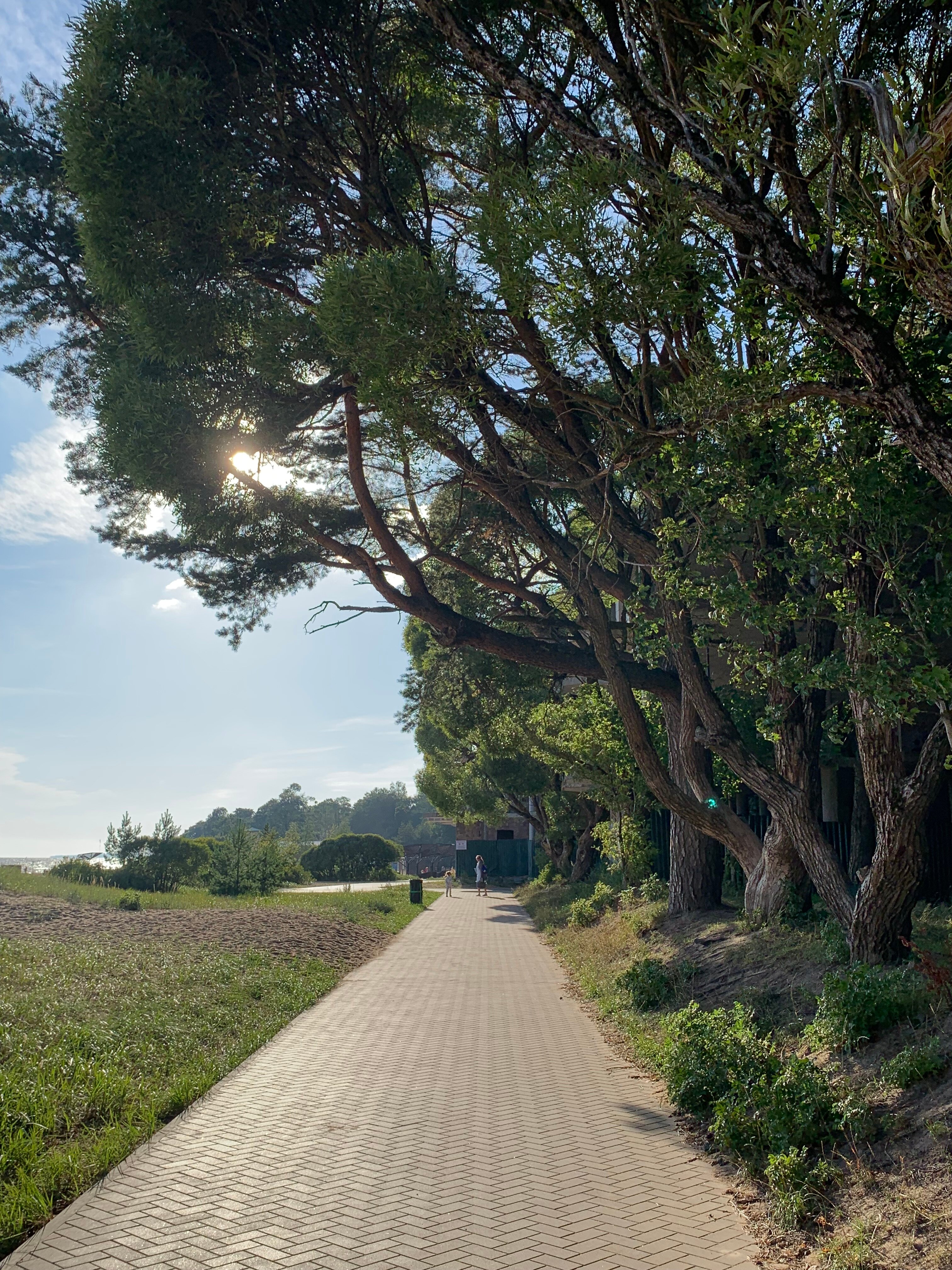 Фото Доброе утро