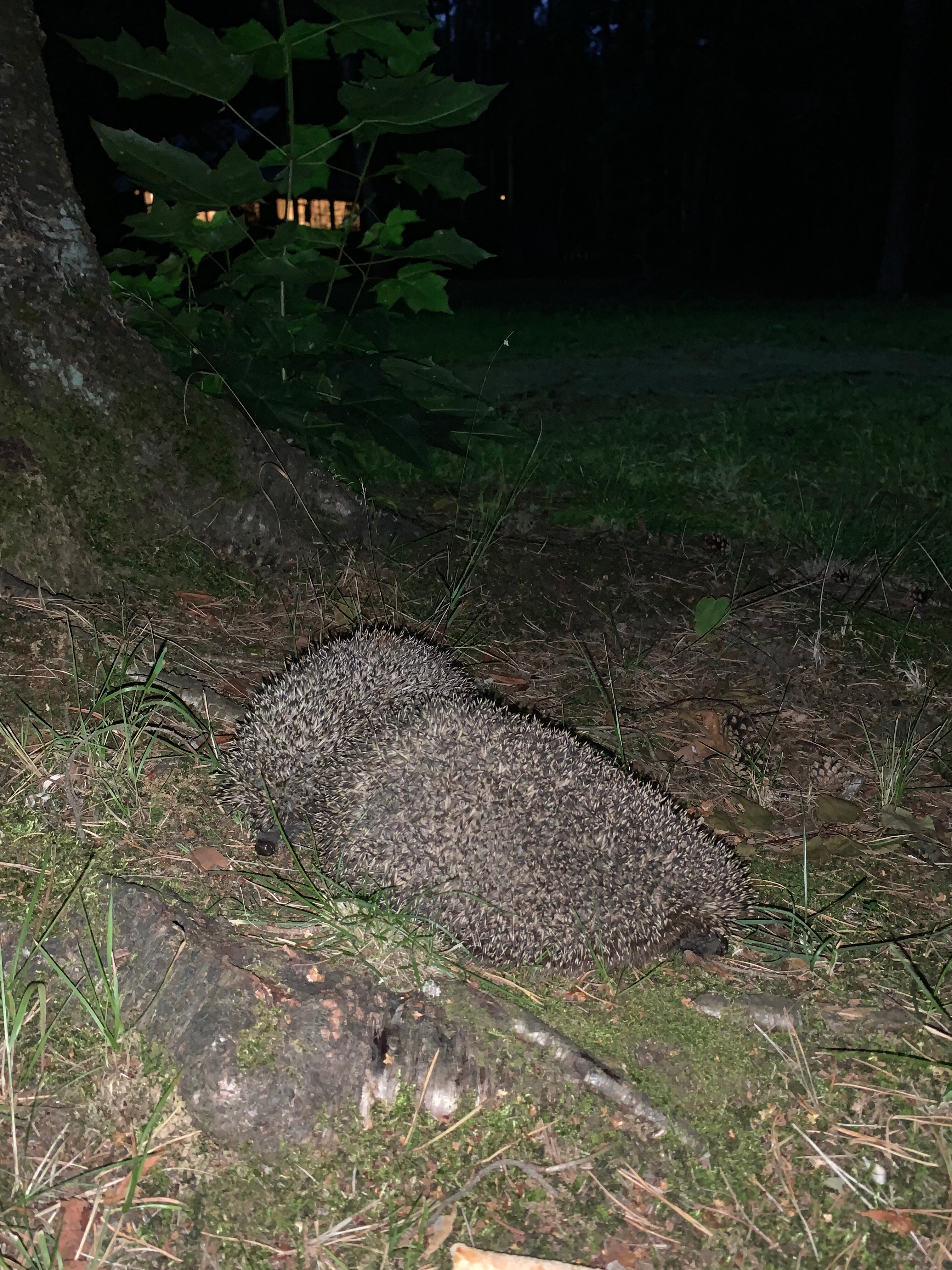 Фото Доброе утро