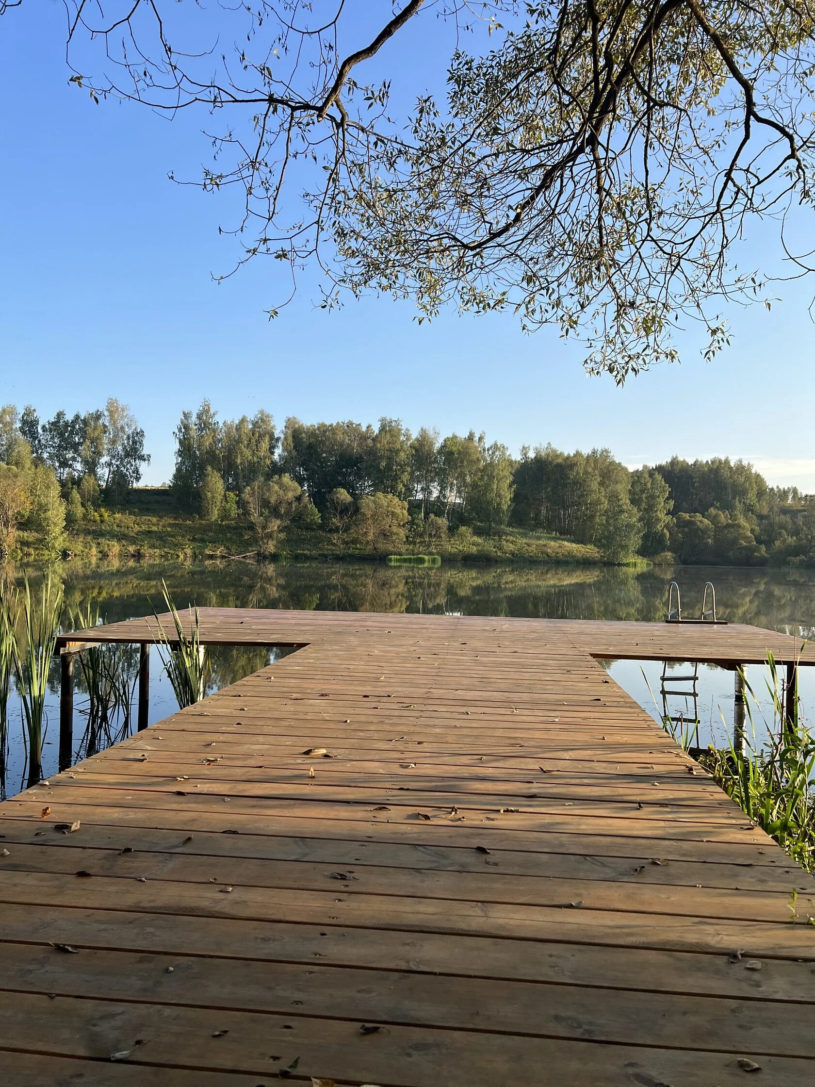 Фото Глэмпинг Ильино