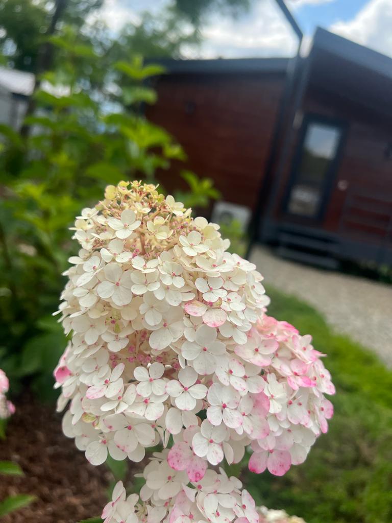 Фото Горные просторы