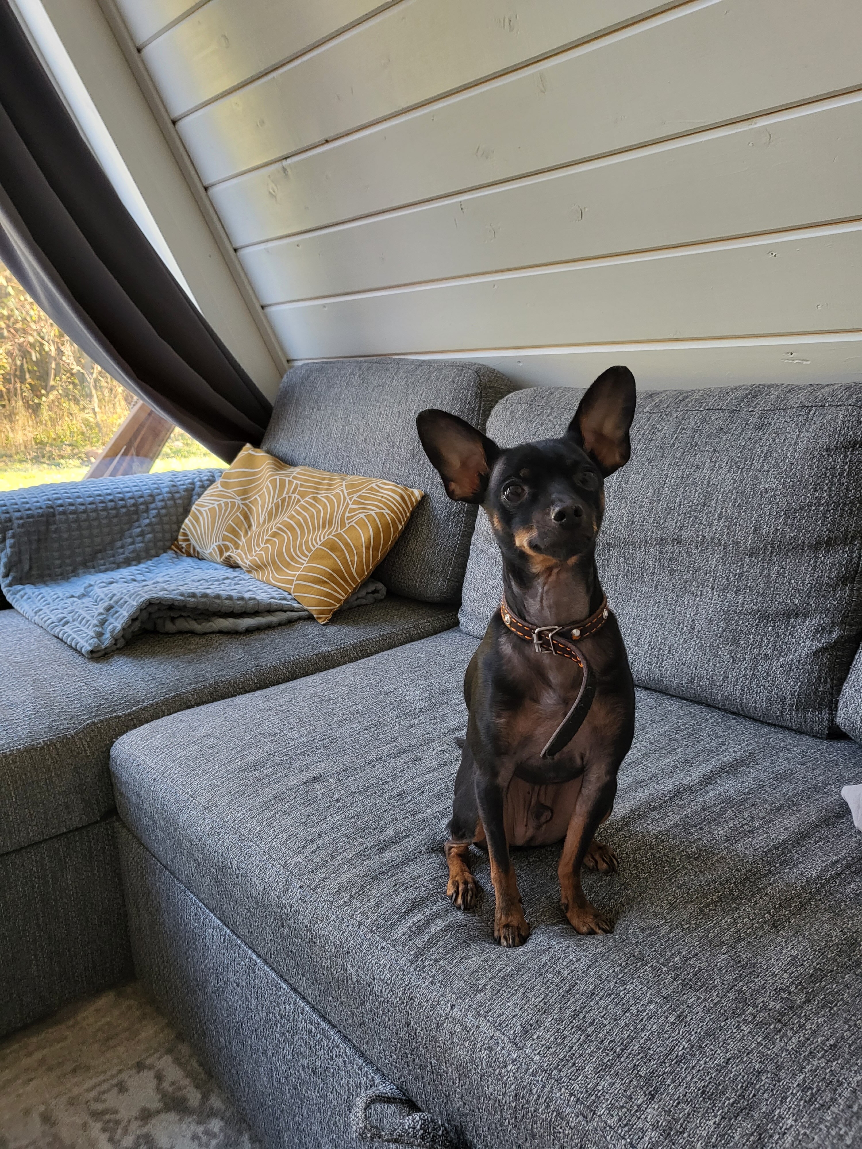 Фото Место Силы