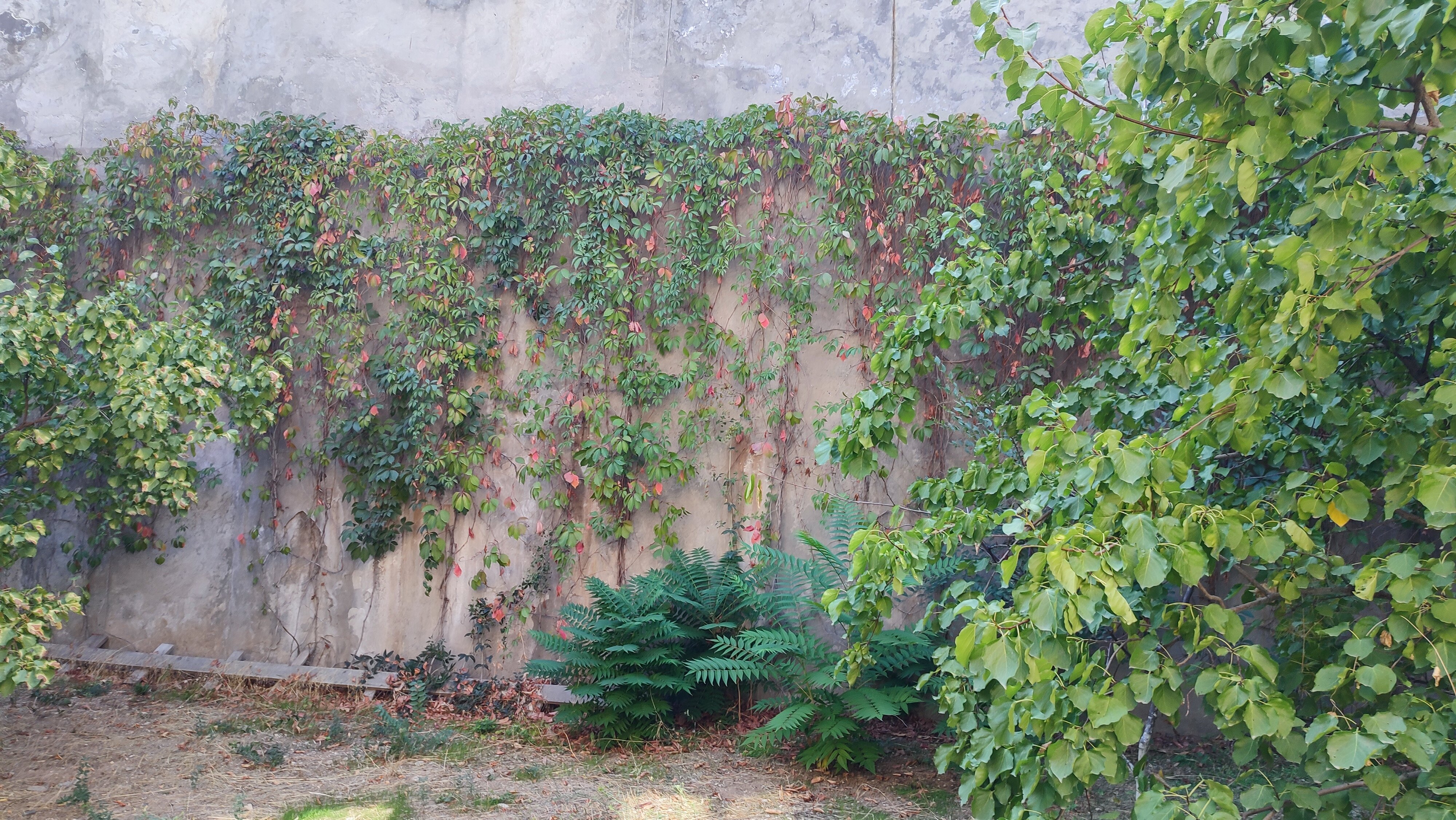 Фото Comfort House