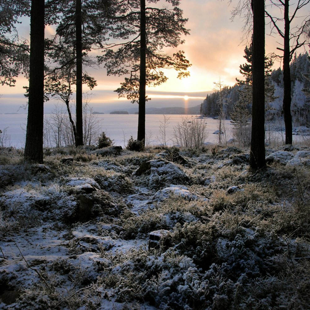 Фото Гостиница Старая Слобода