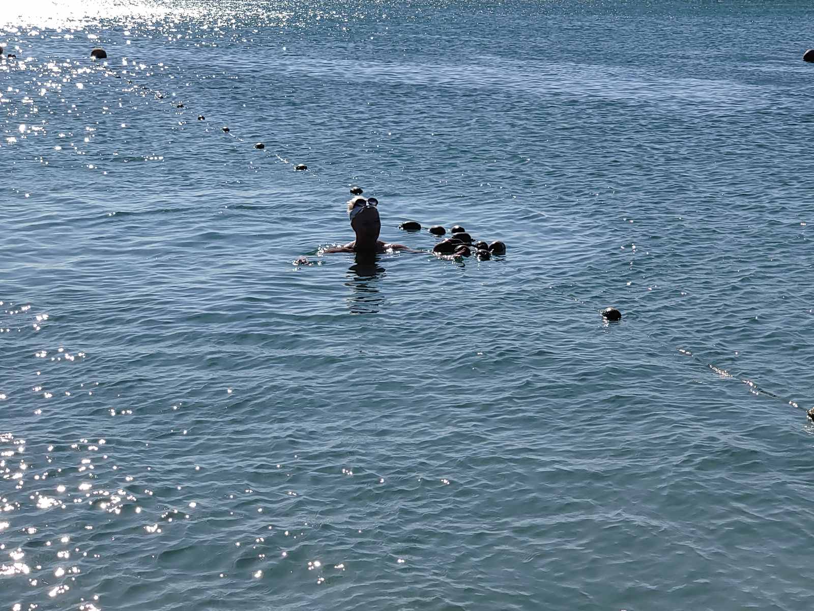 Фото Золотой Компас