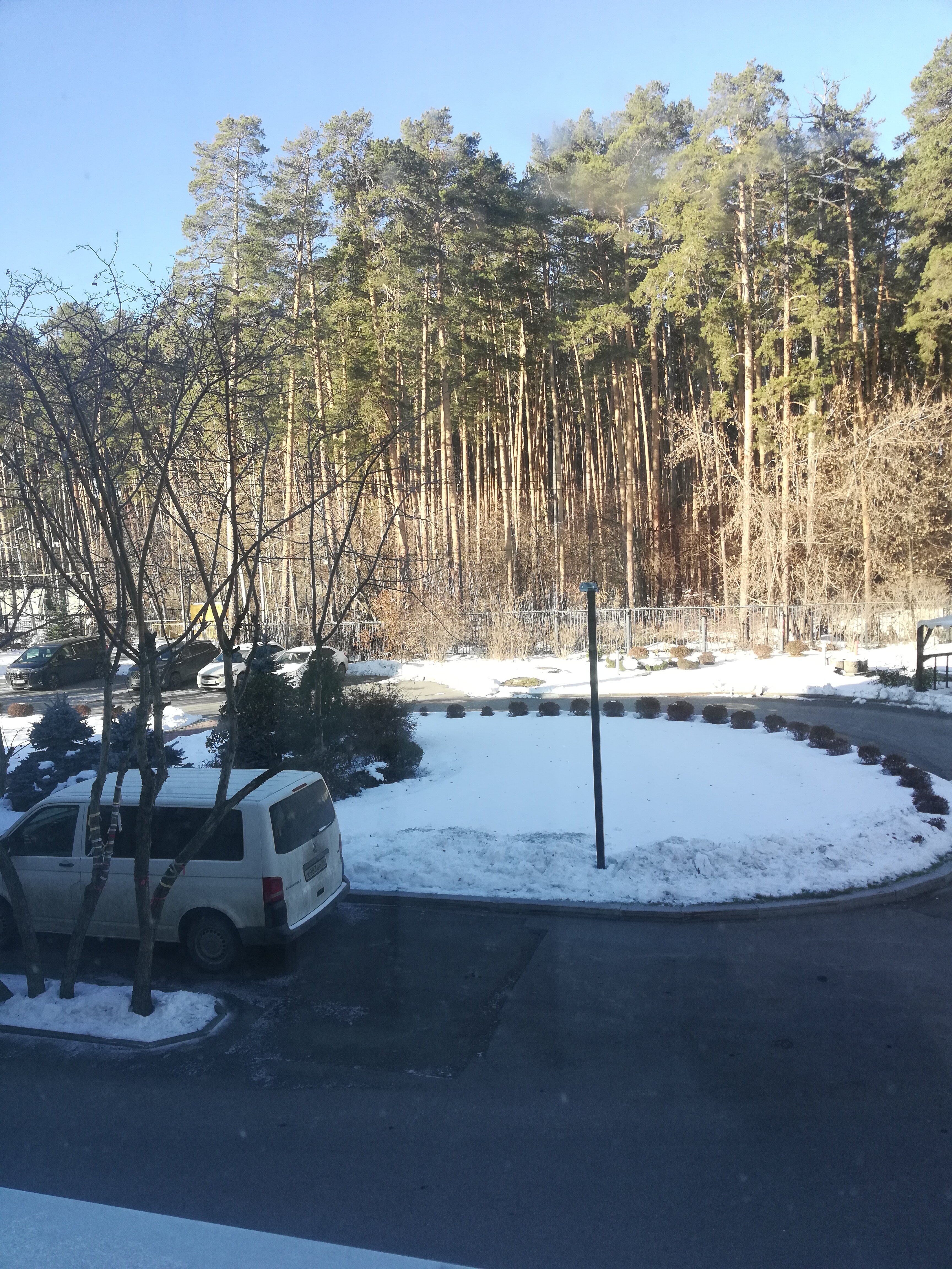 Фото Изумруд