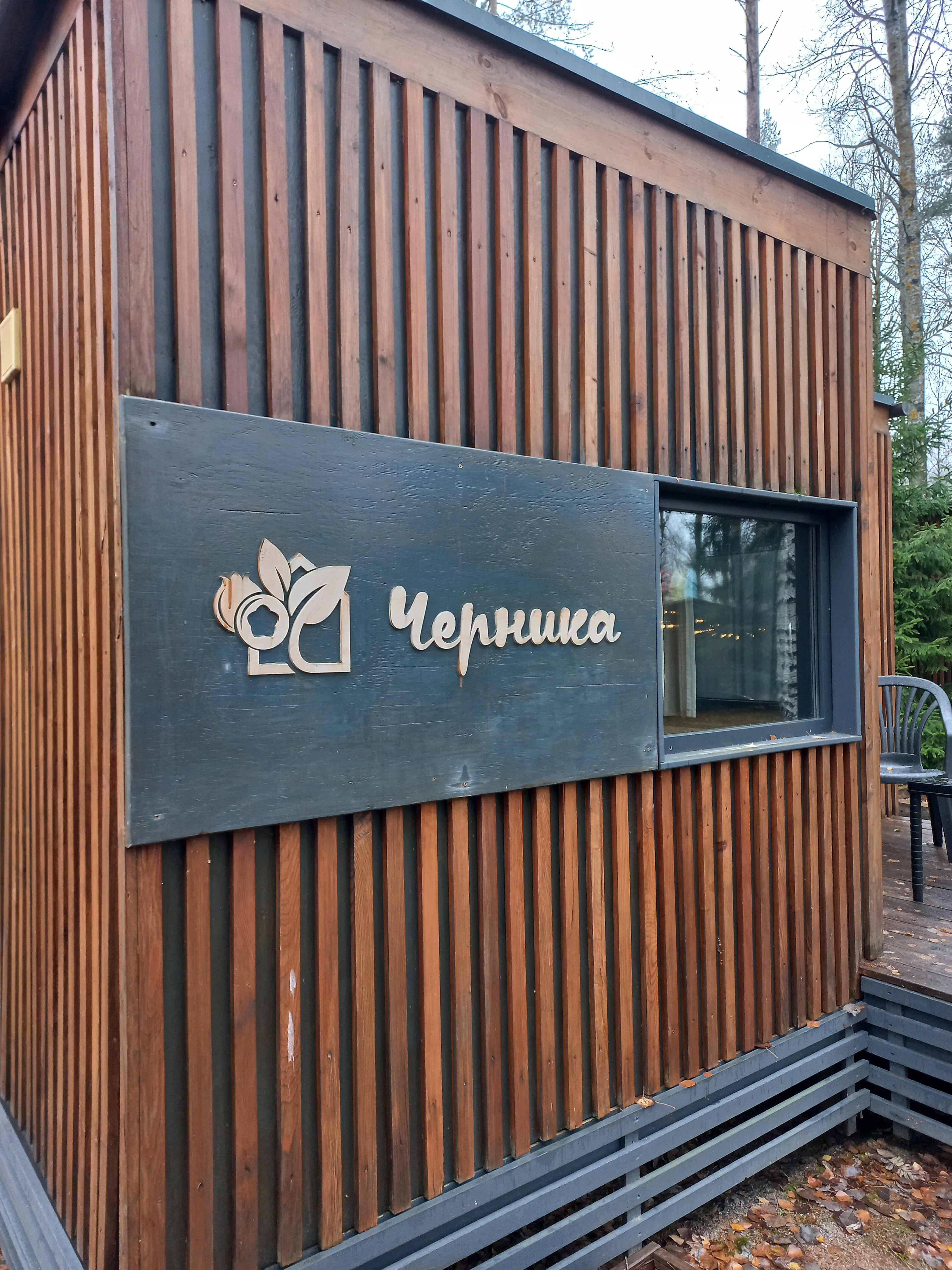 Фото Черника