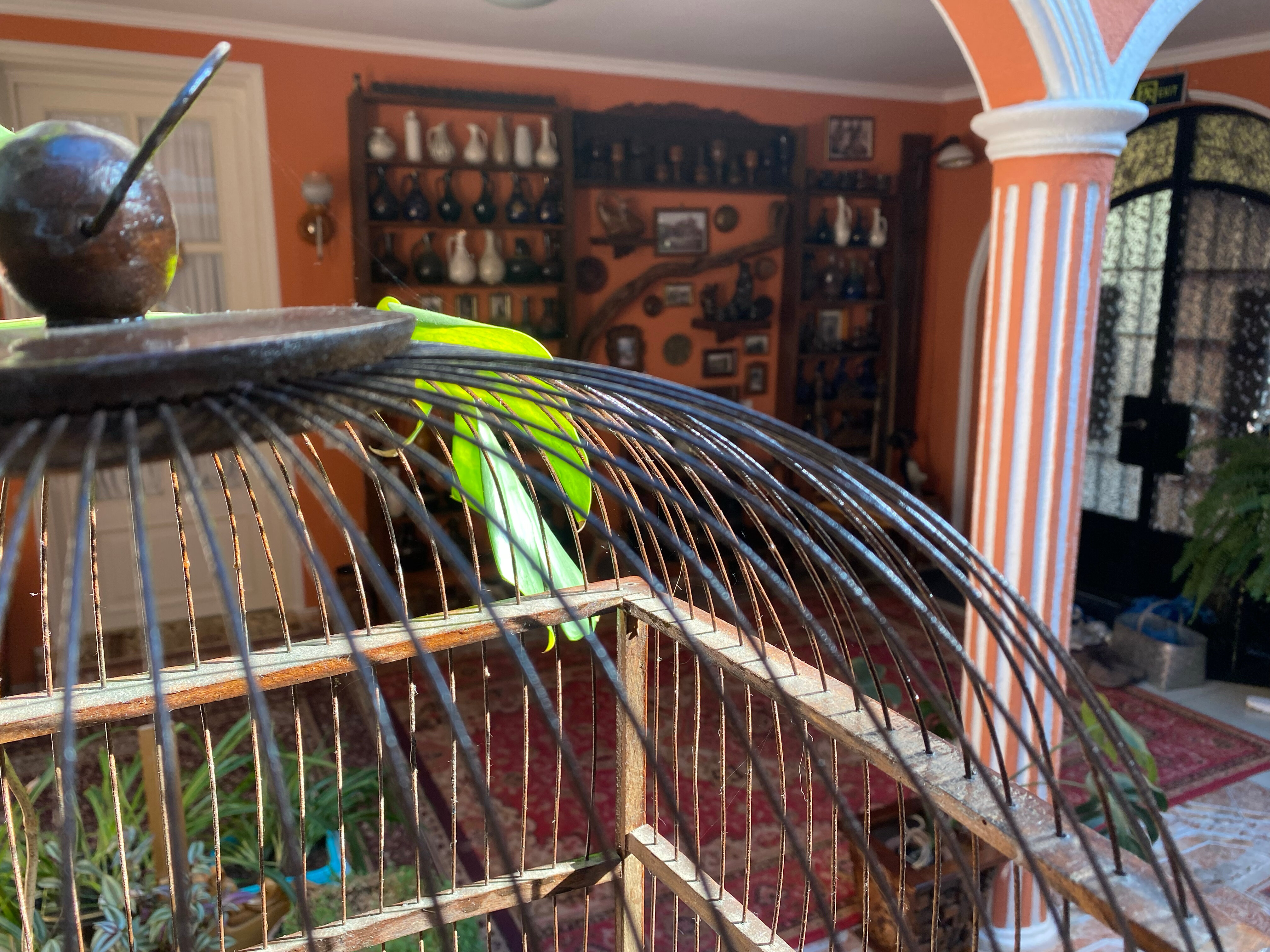 Фото Ltd Elia Palace Hotel