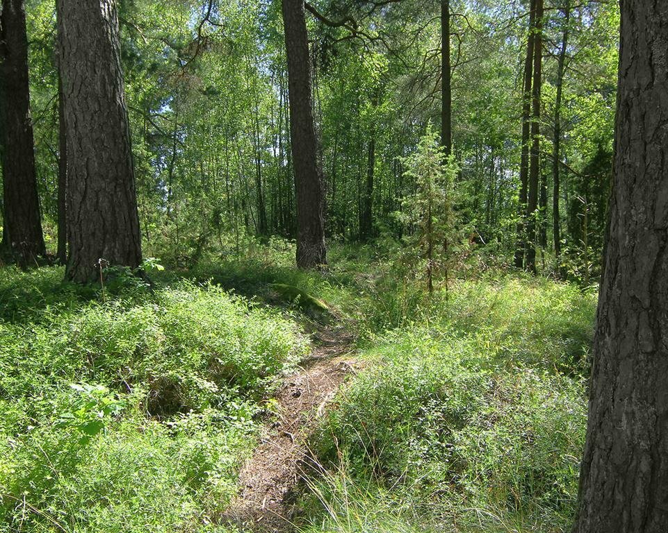 Фото Best Western Gustaf Froding Hotel - Konferens