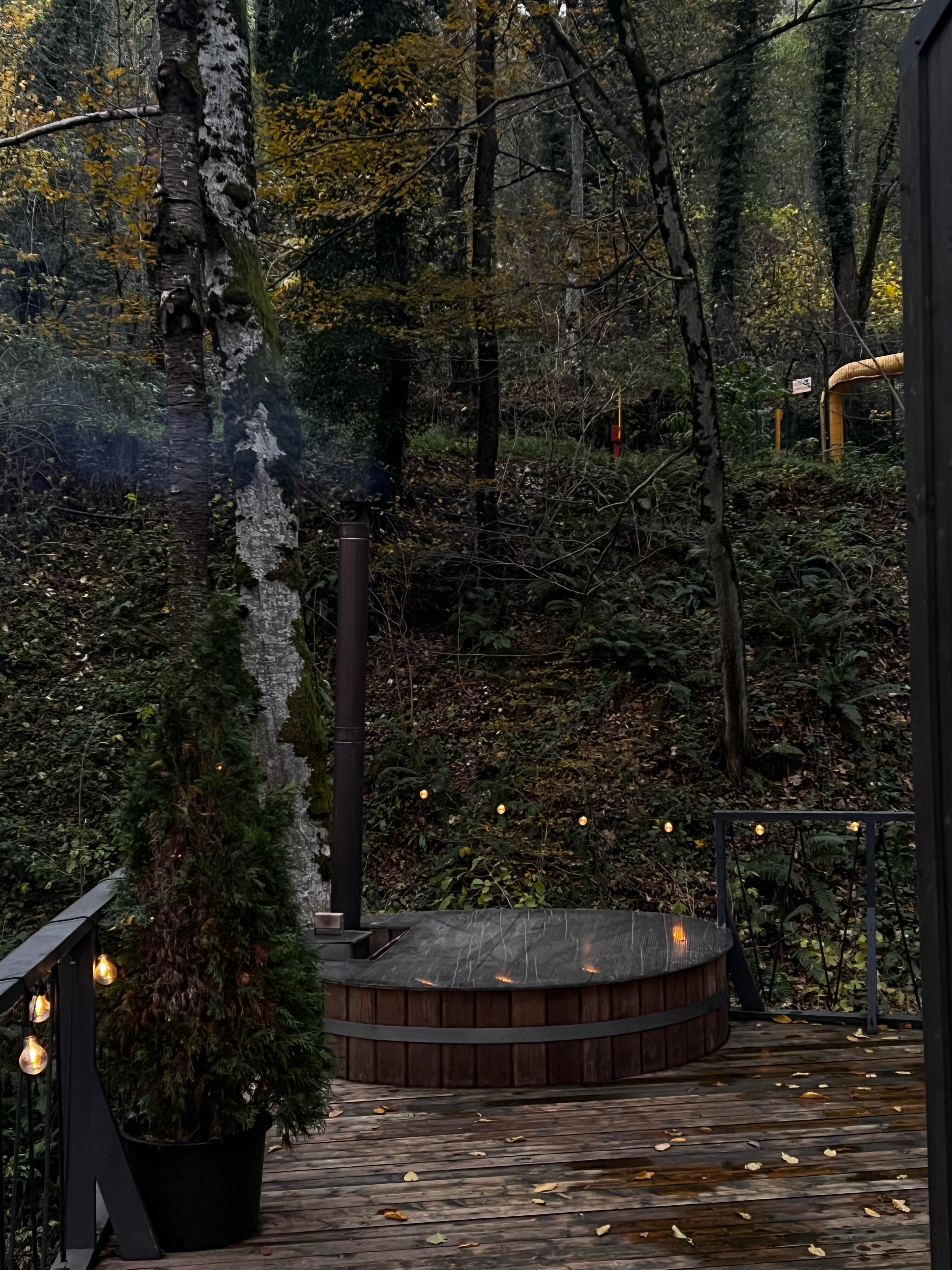 Фото Дзен Поляна