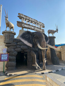 Emirates Park Zoo (14, 303 Lane, Al Rahba Farms, Al Rahba, Abu Dhabi), zoo