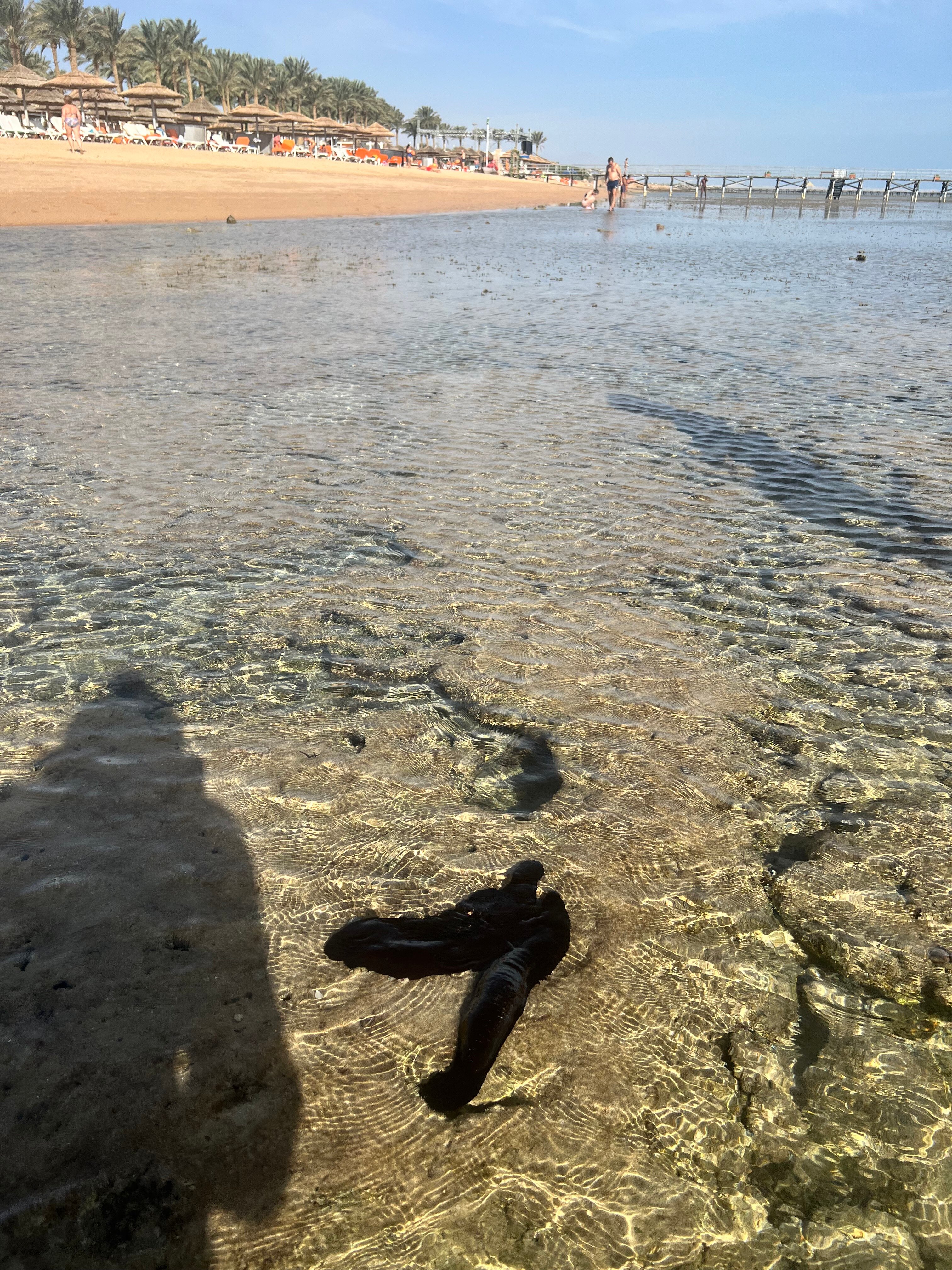 Фото The Grand Hotel Sharm El Sheikh