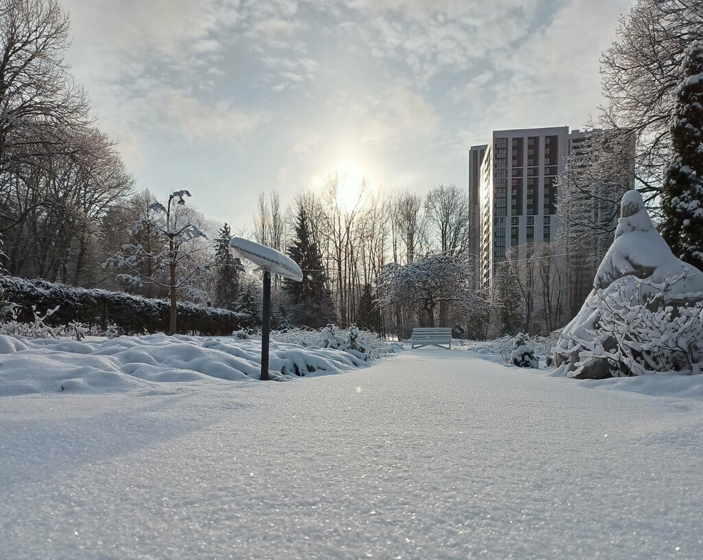 Research institute South Ural Botanical Garden-Institute of the Ufa Research Center of the Russian Academy of Sciences, Ufa, photo