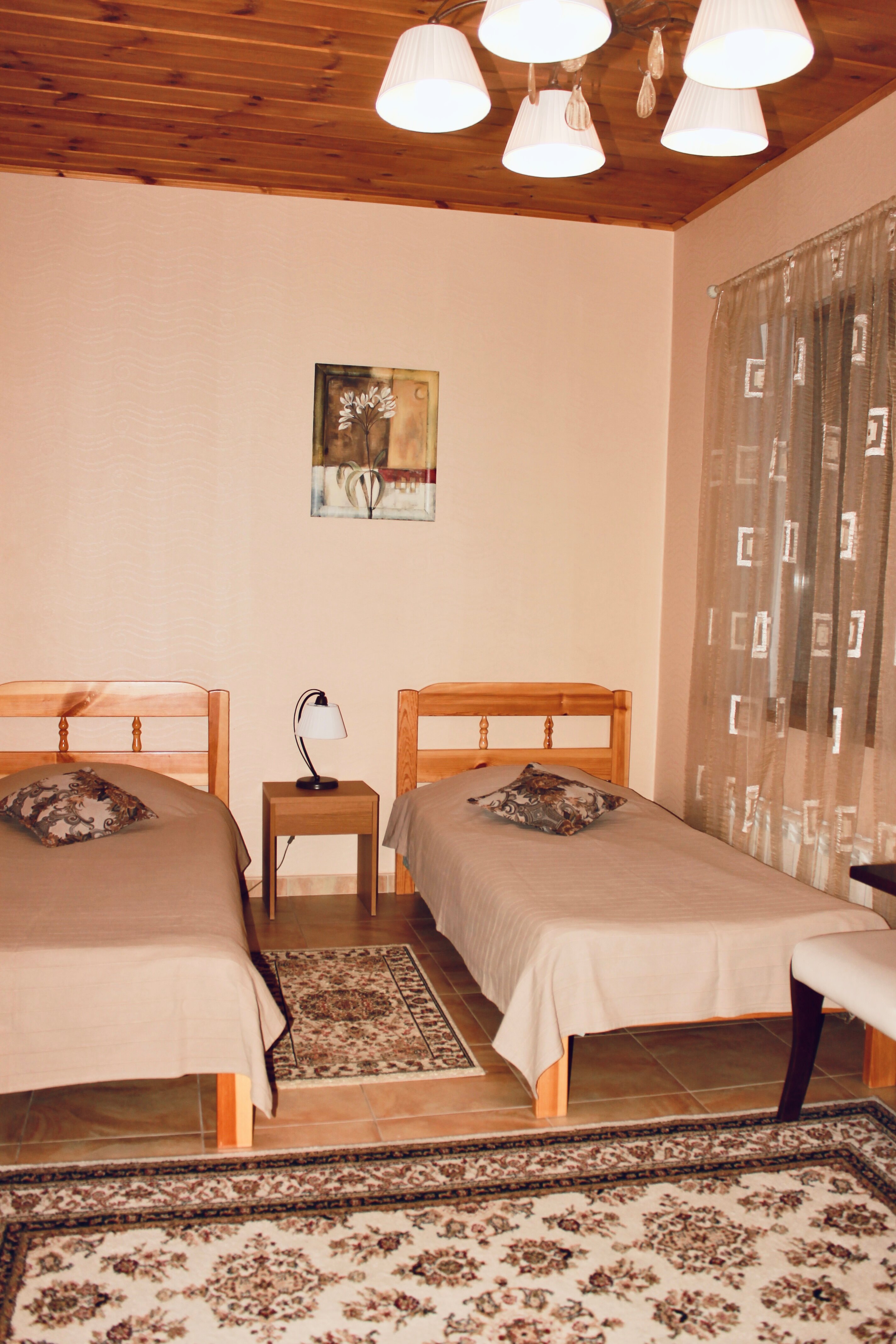 Фото Зигзаг