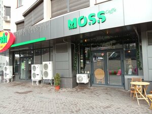 The Moss Caffee (ул. Тудор Стришкэ, 8/1), кафе в Кишиневе