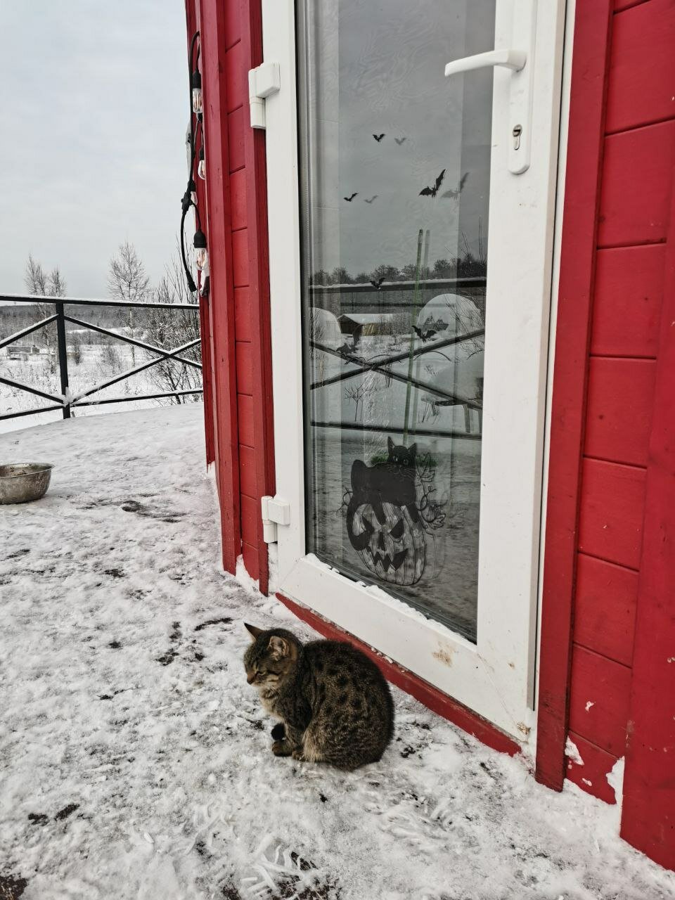 Фото Просто Cosmos