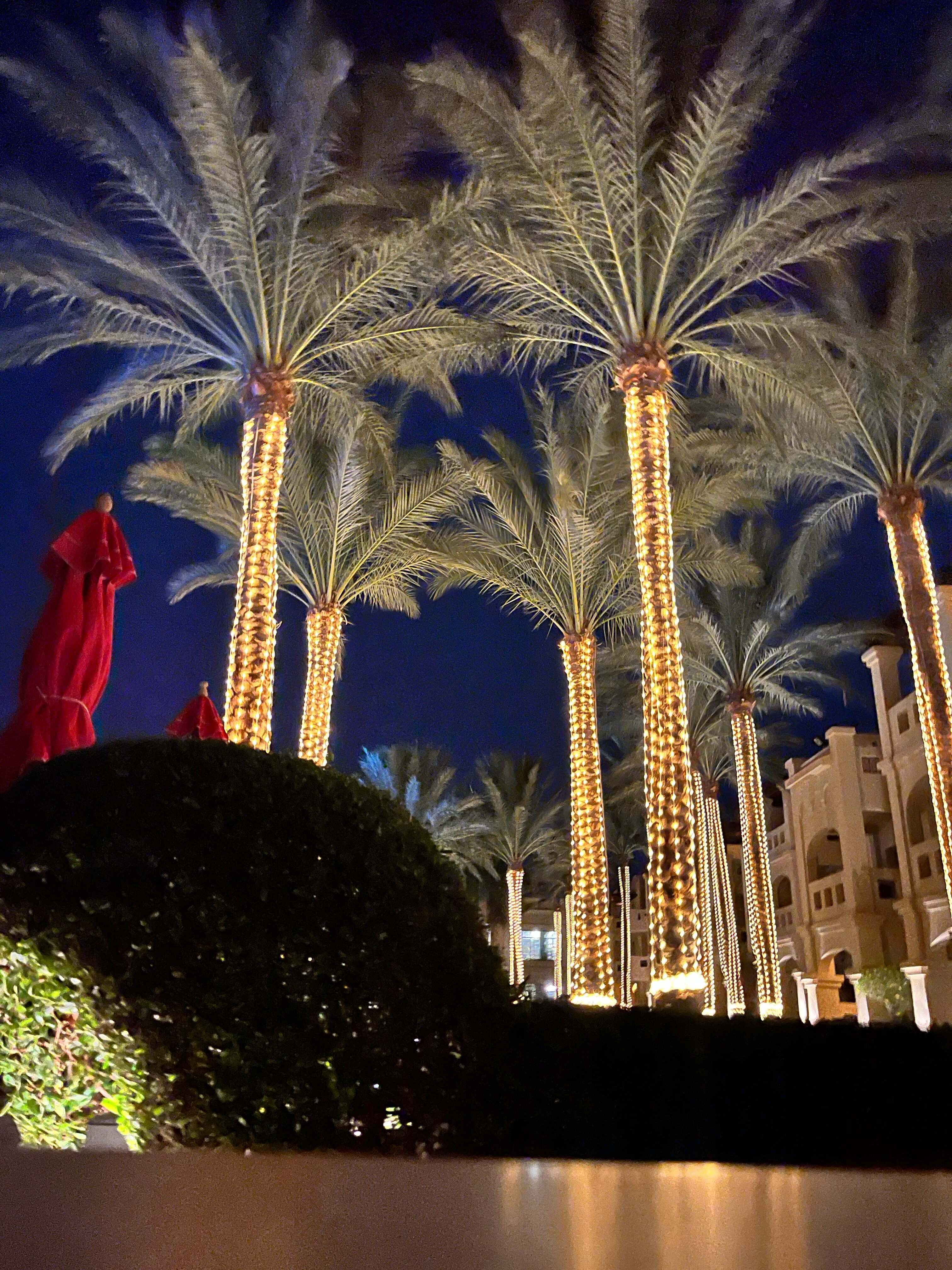 Фото Rixos Sharm El Sheikh