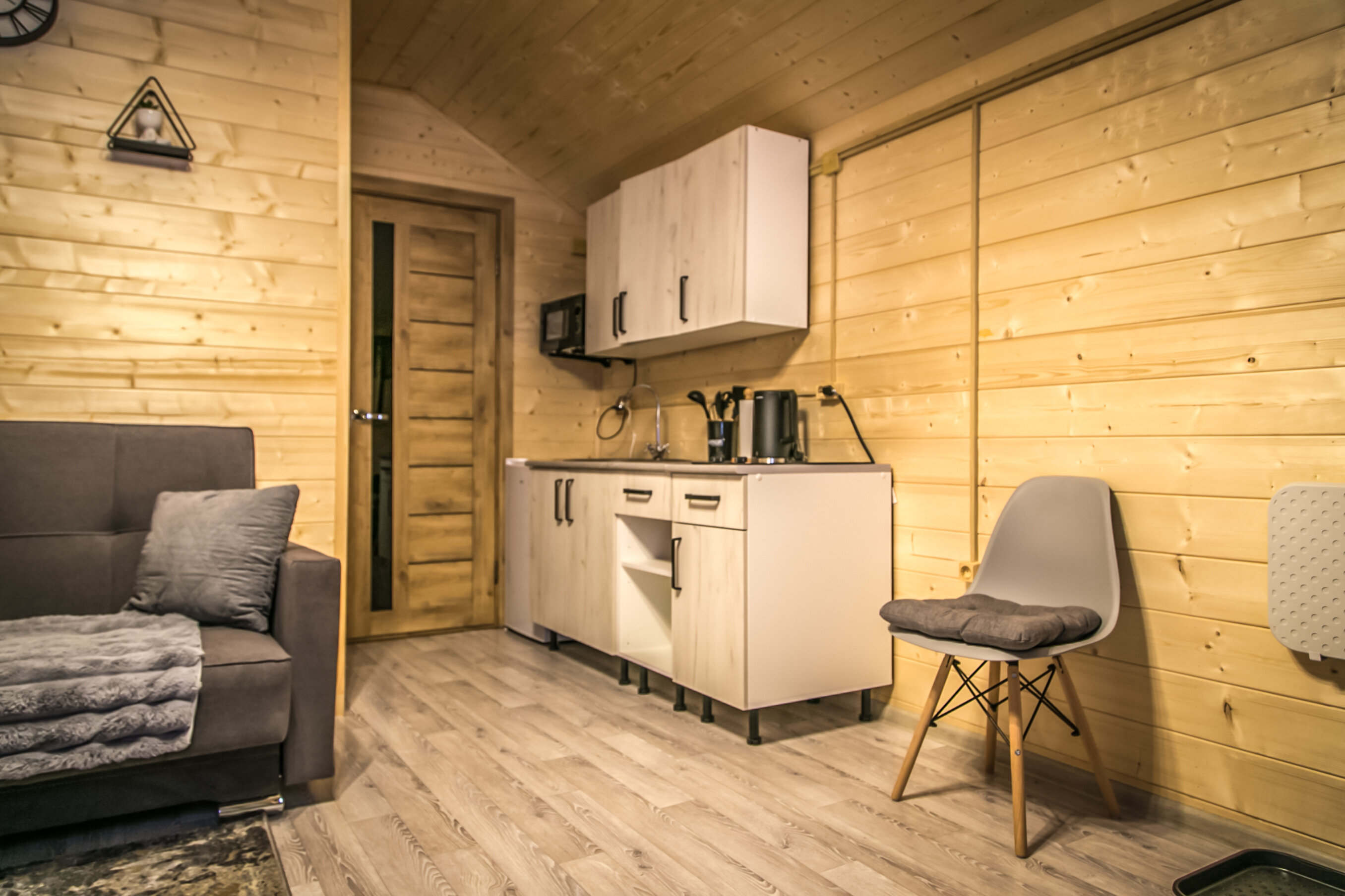 Фото Дикая Лошадь