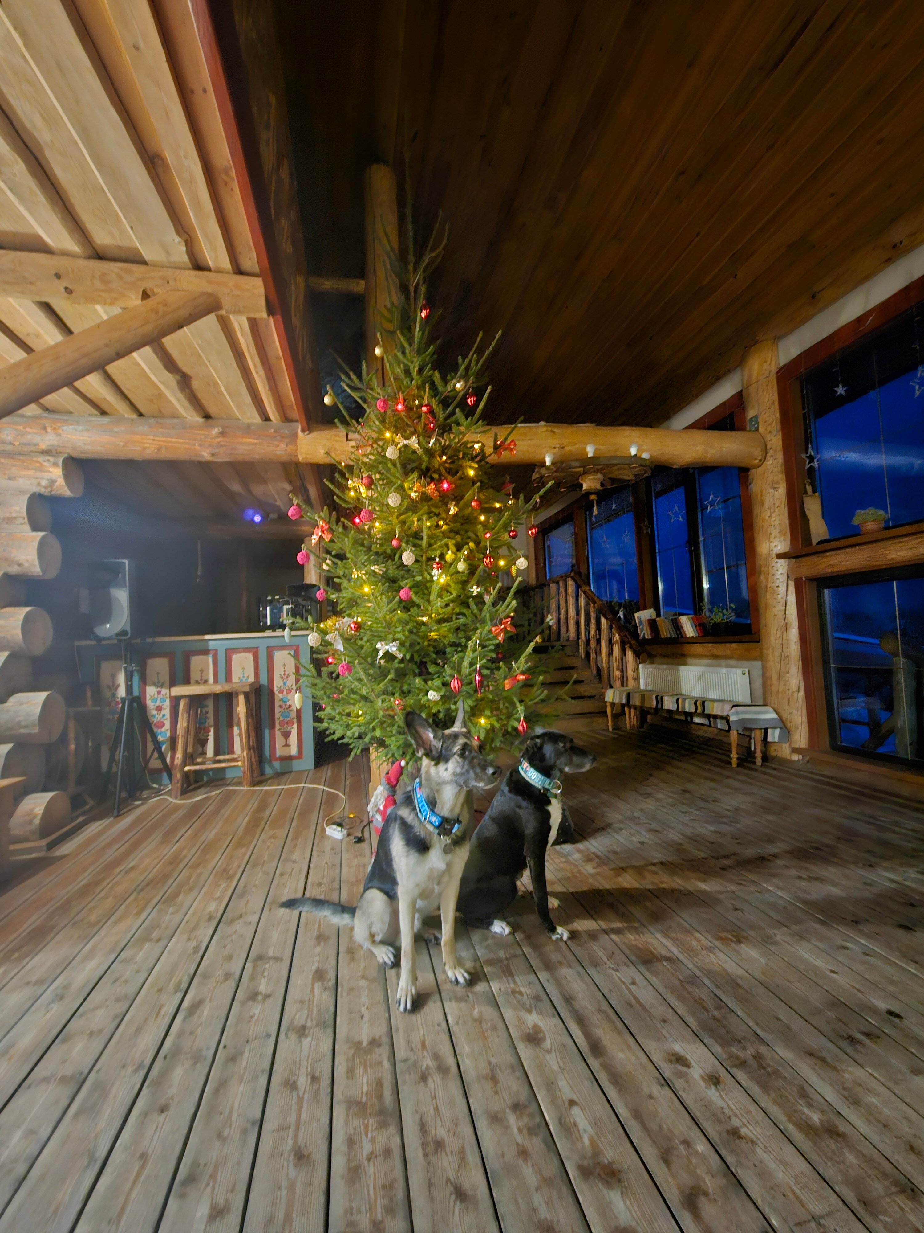 Фото Территория гостеприимства Рогачиха