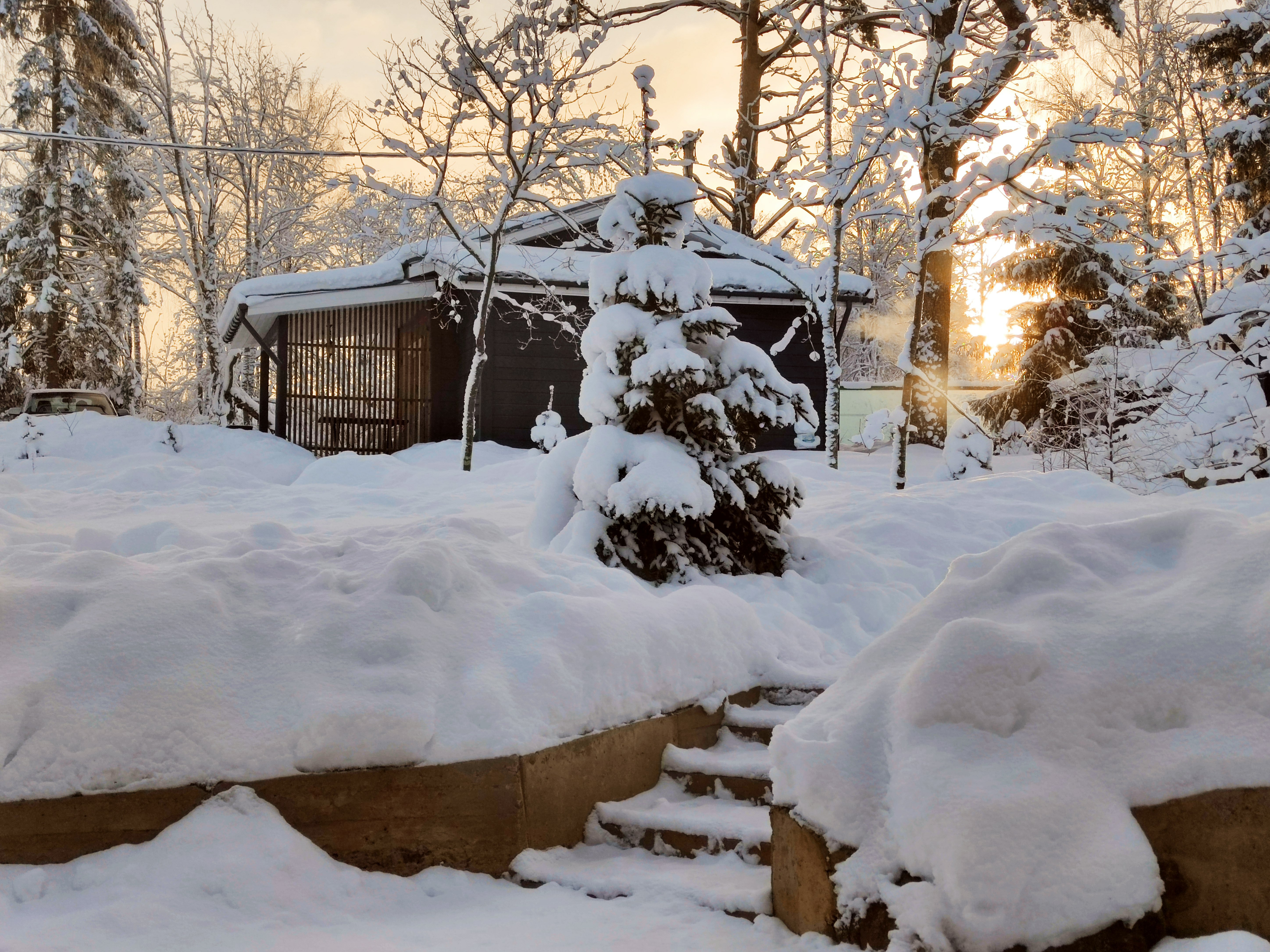 Фото Талони