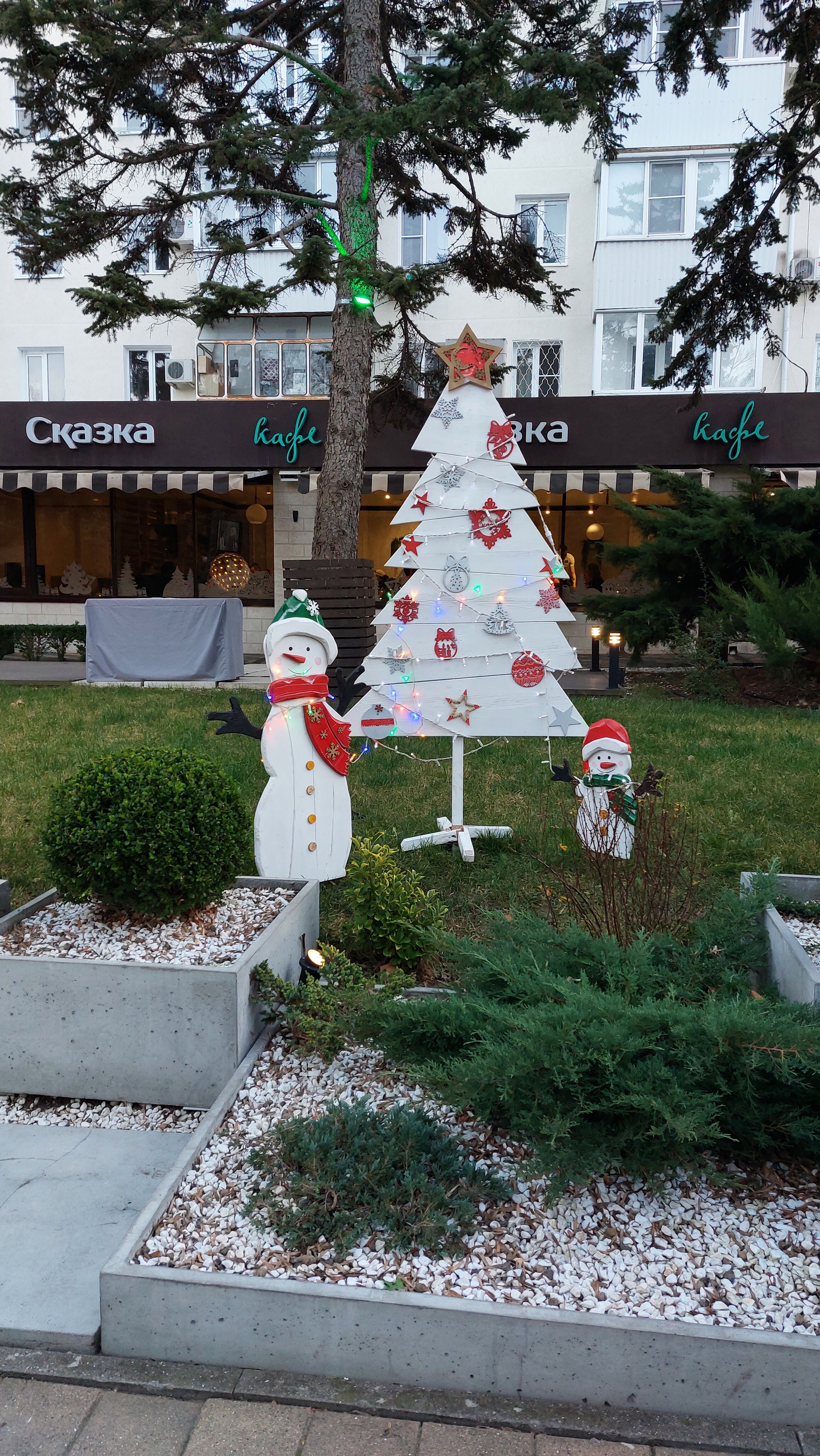 Фото Ванилька