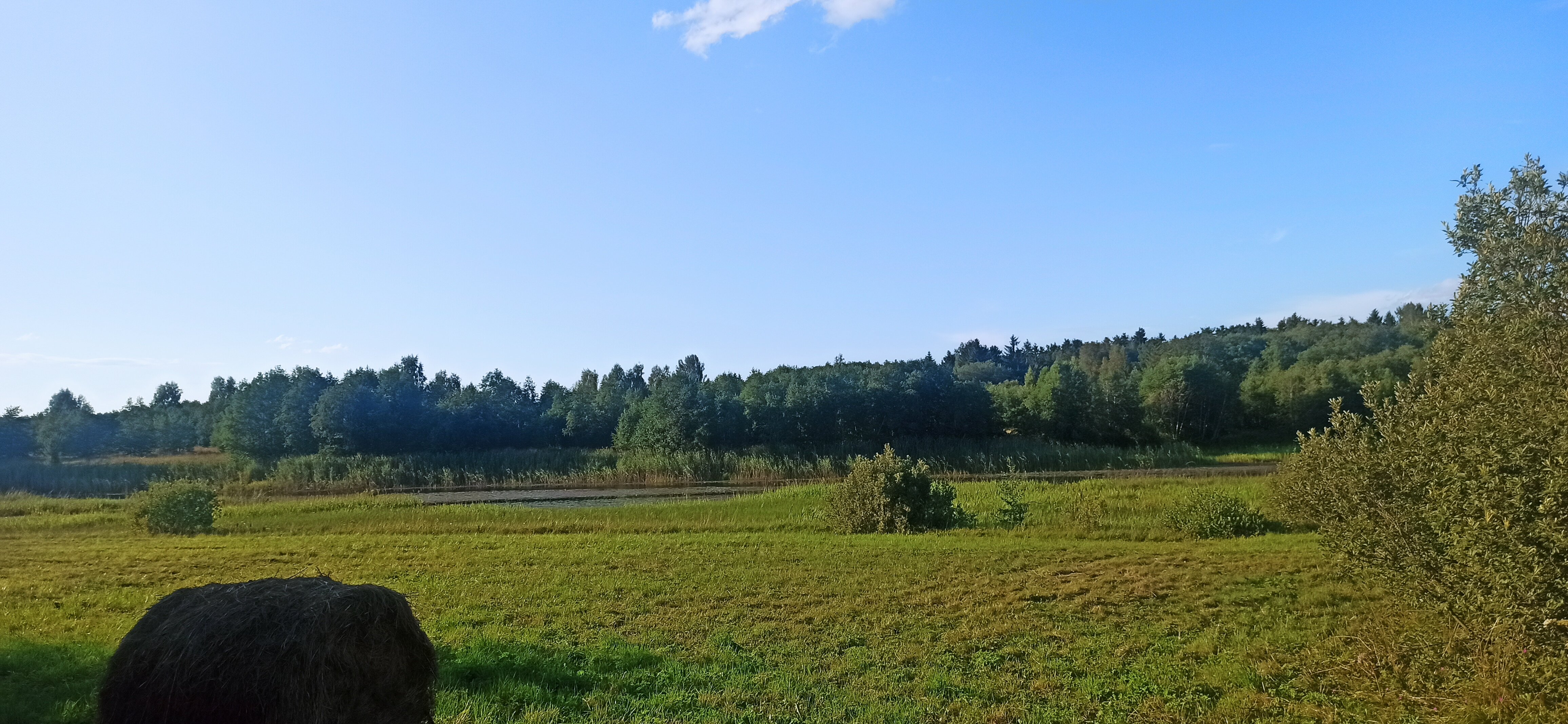 Фото Бологое Дом