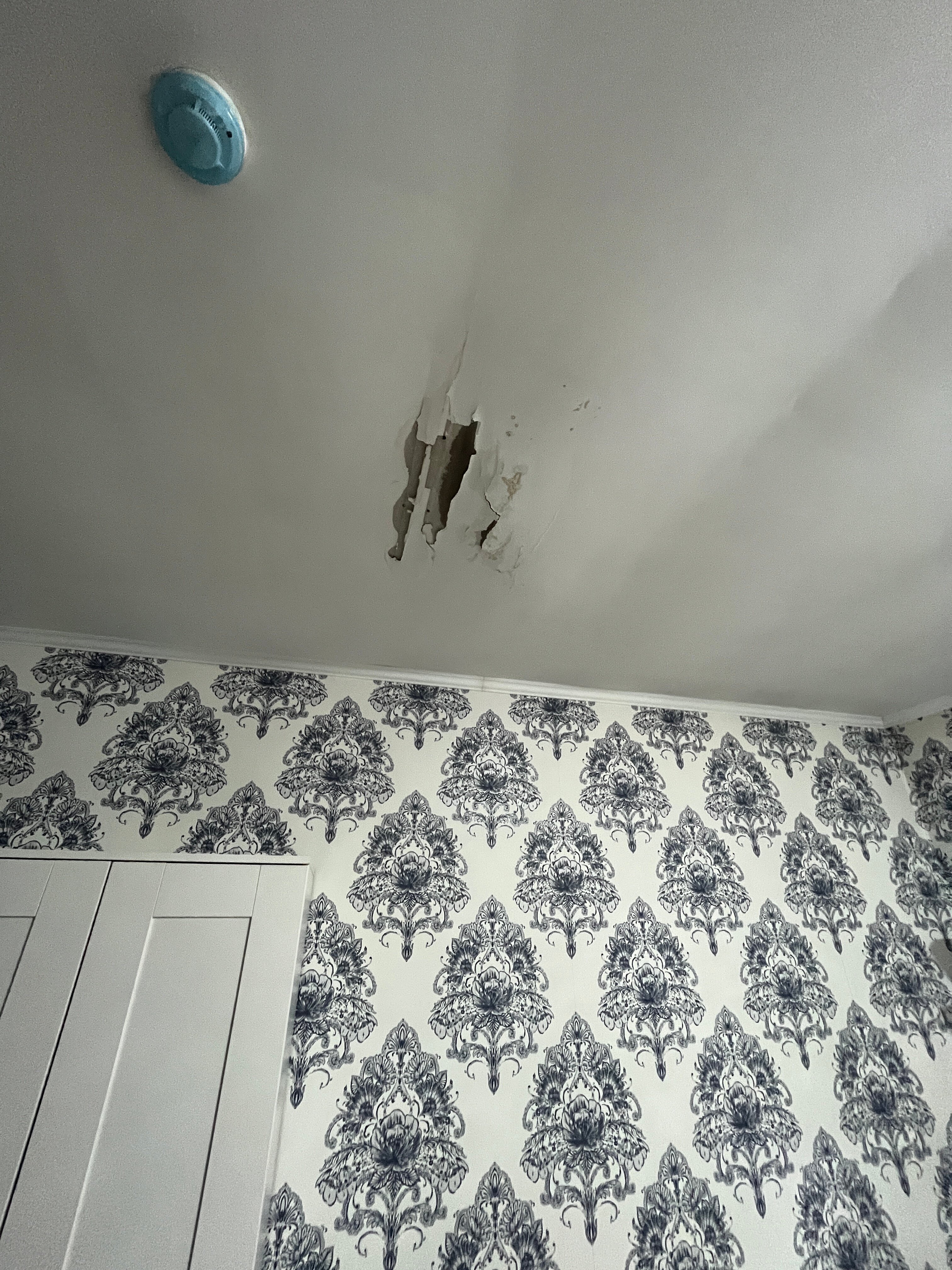 Фото Родник