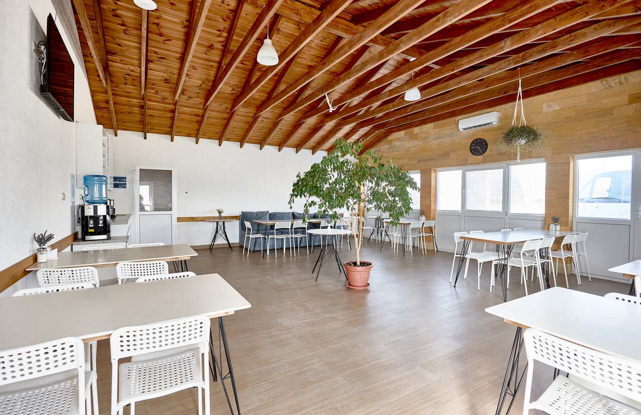 Фото Аммонит