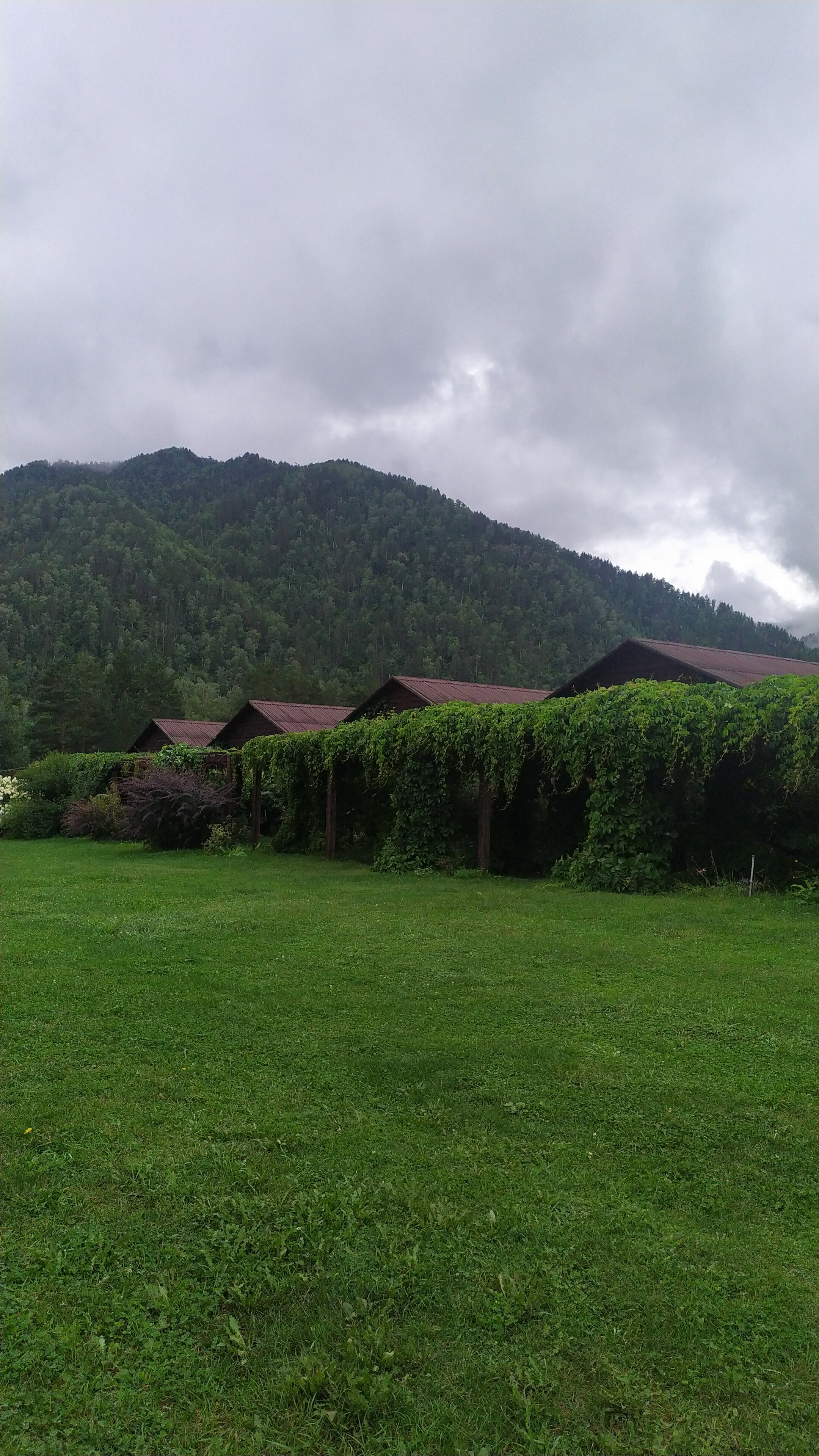 Фото Усадьба толстяка МО