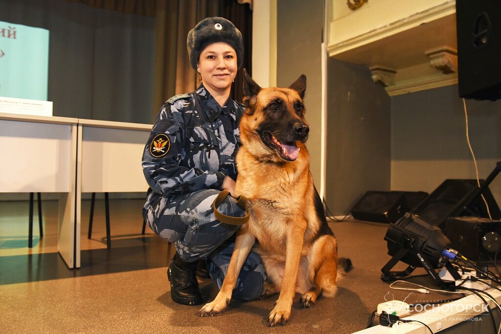 Technical college Veterinarnaya klinika pri Gpou Komi respublikansky agropromyshlenny tekhnikum, Komi Republic, photo