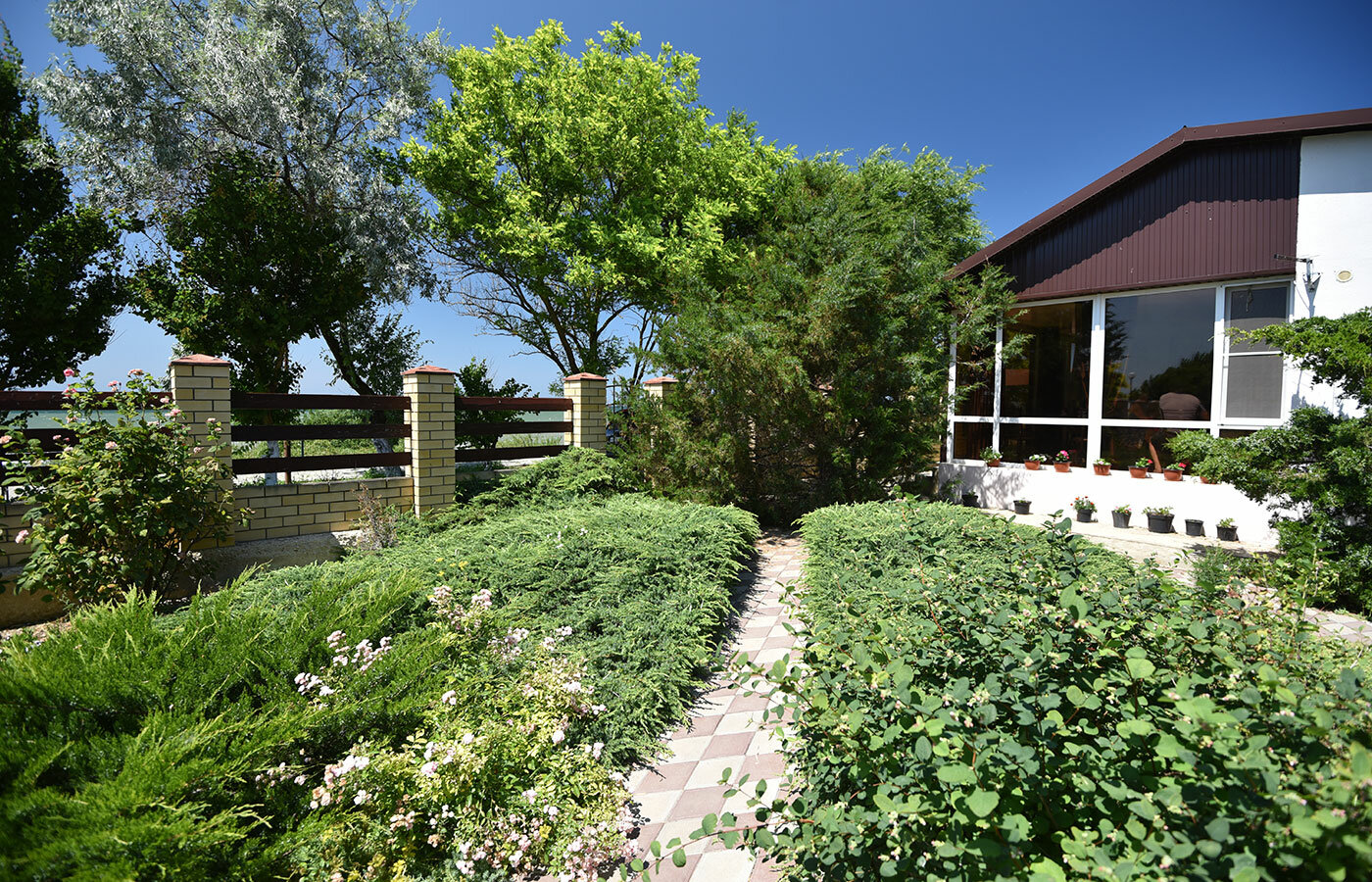 Фото Фортуна