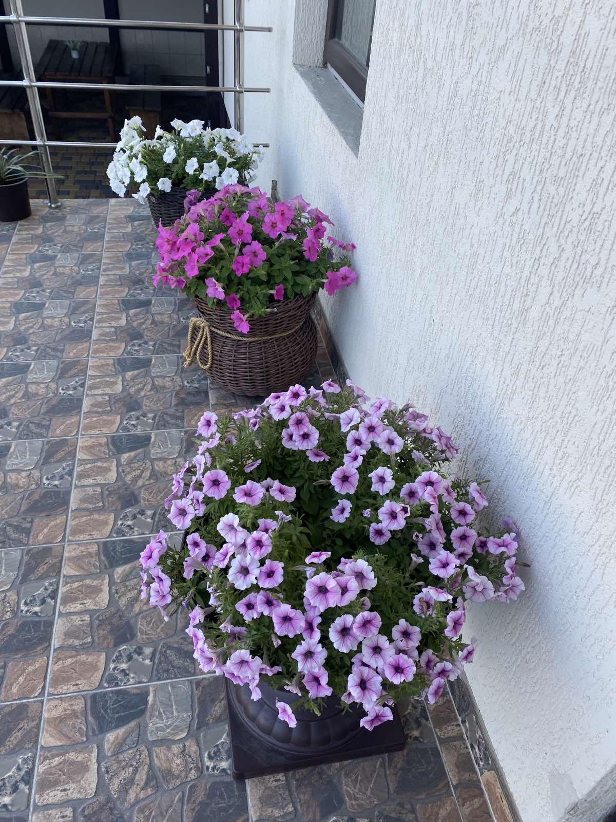 Фото Мишелье