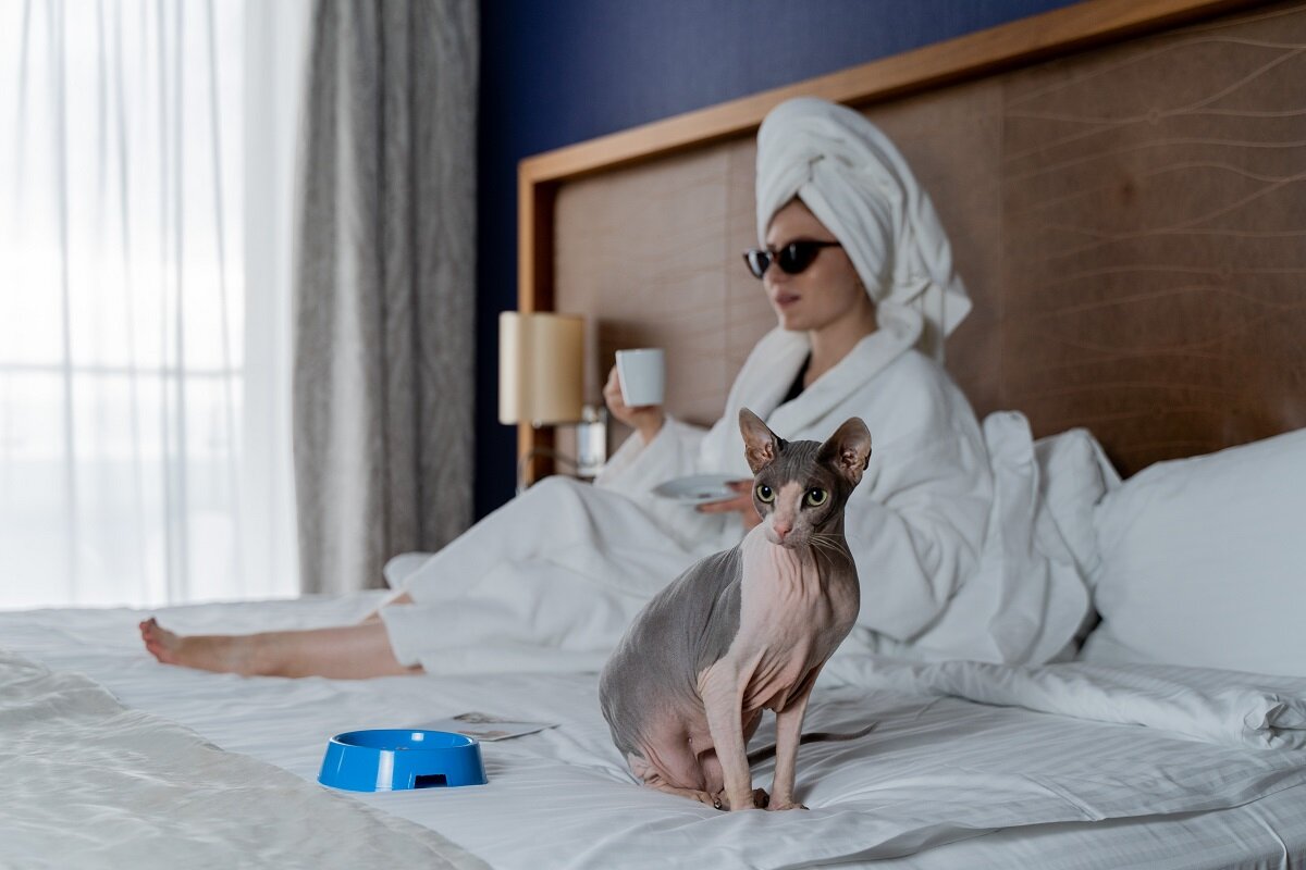 Фото Альфа Сириус