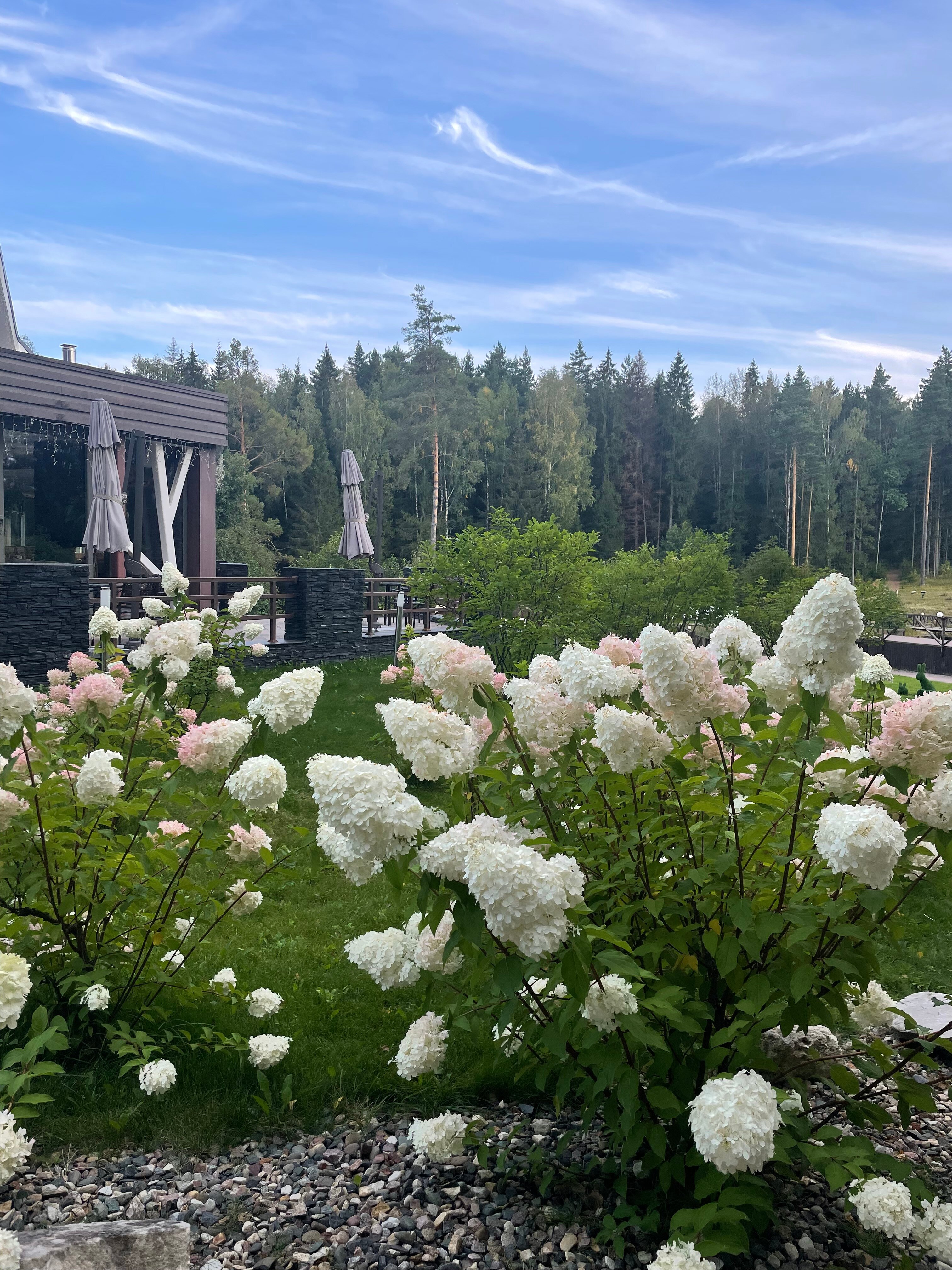 Фото Доброград Village