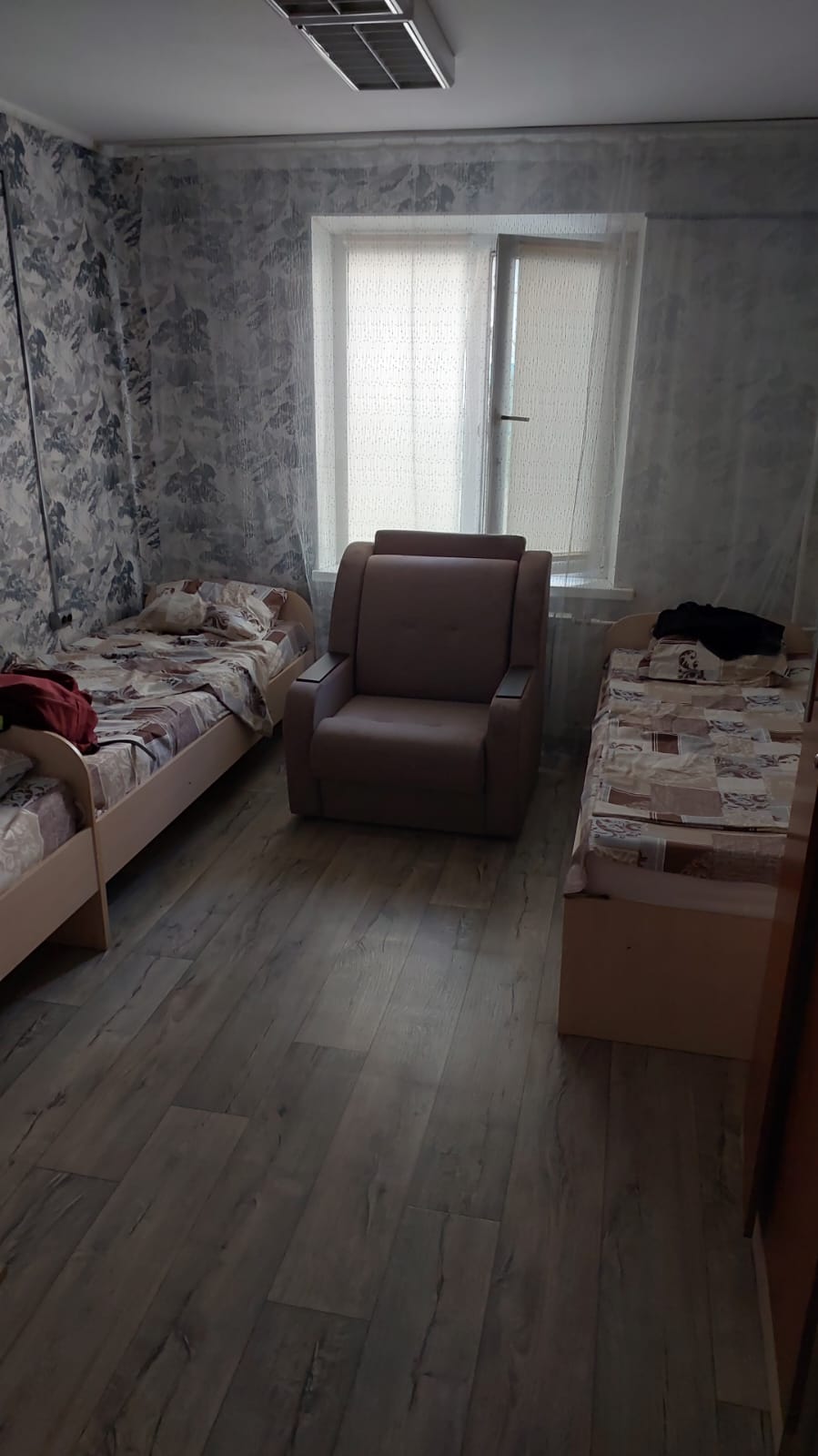 Фото Подсолнух