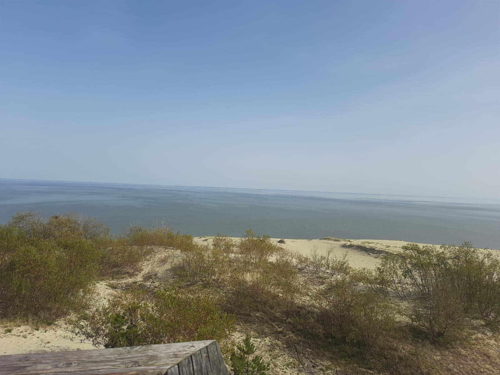 Фото Асгард