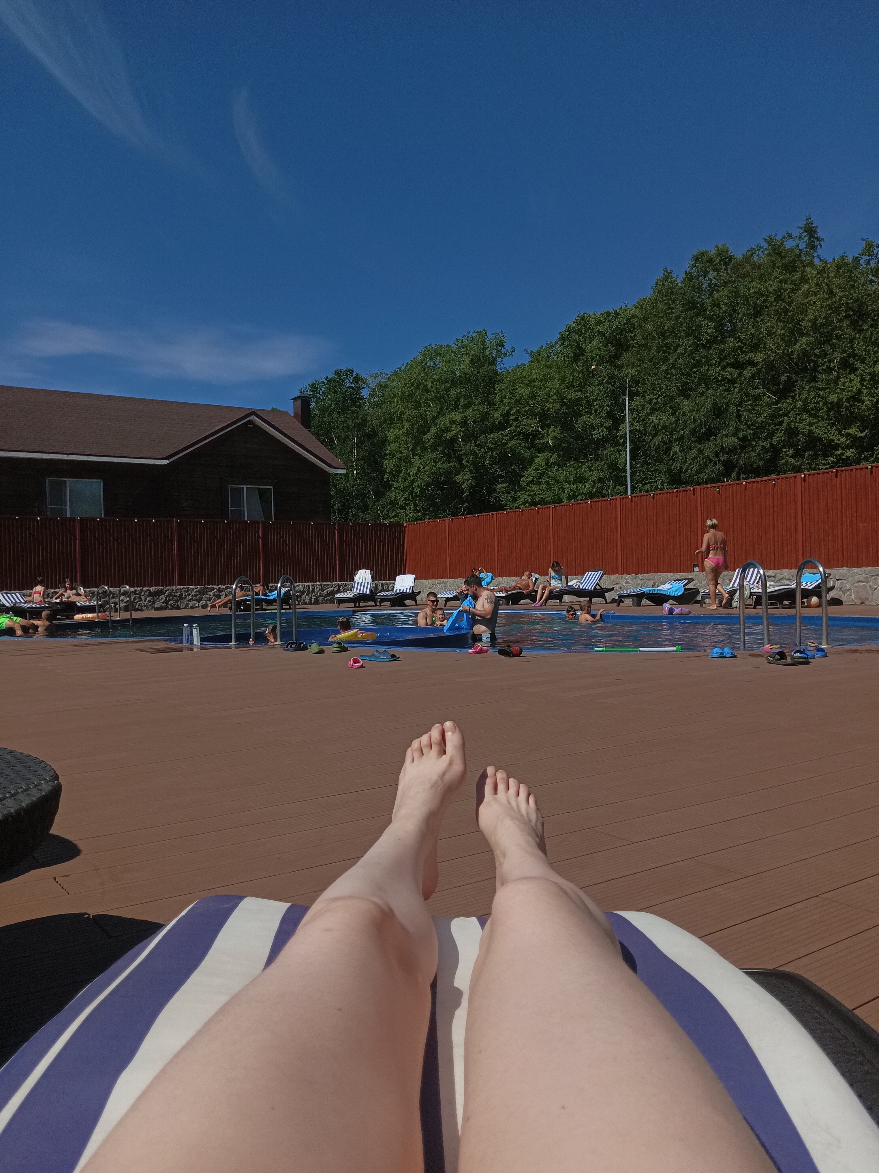 Фото Лесная поляна