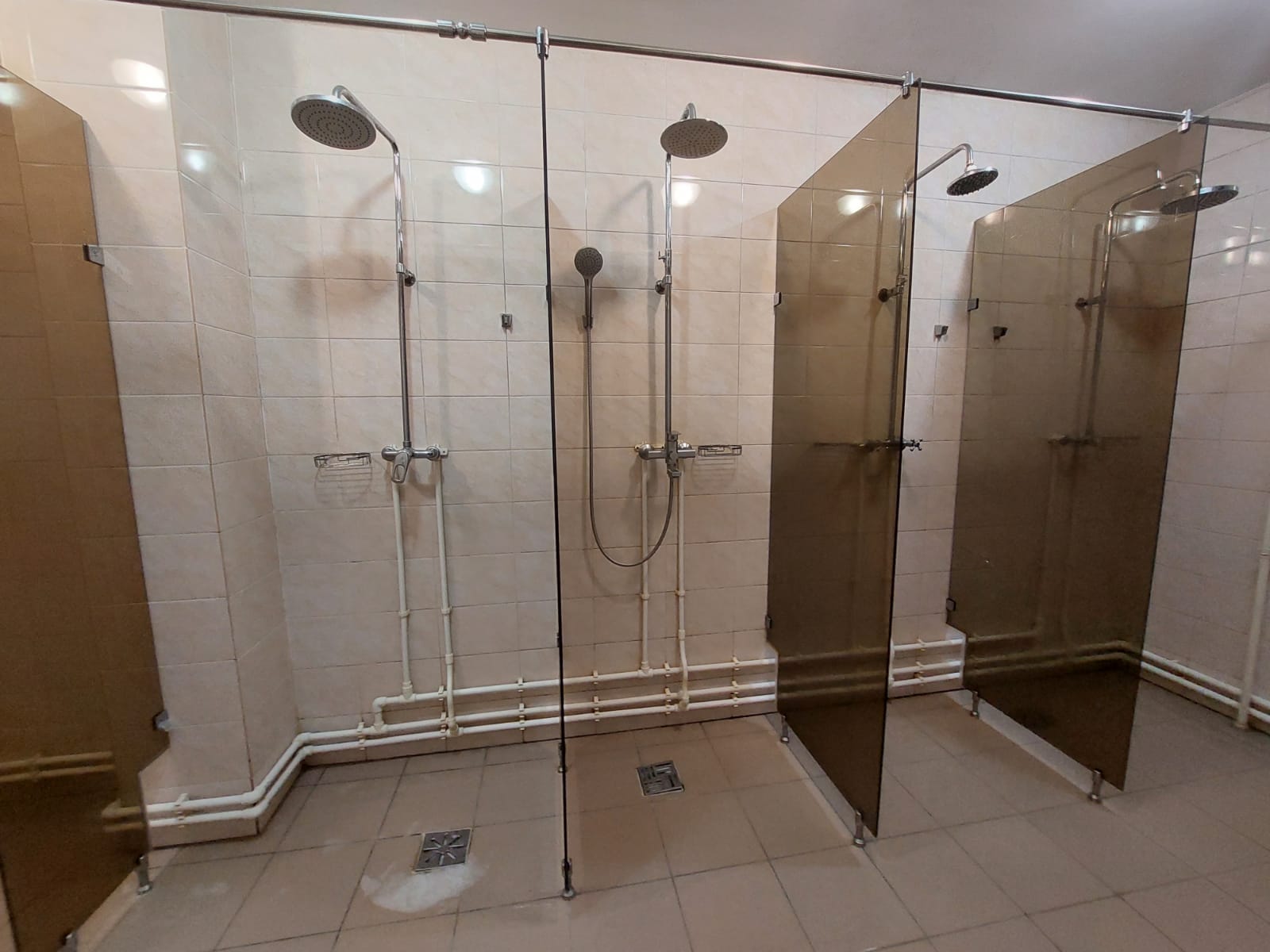 Фото Овсянка