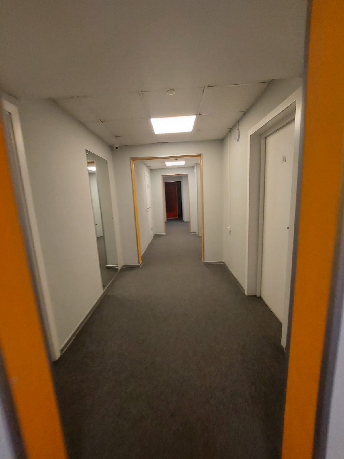 Фото Овсянка