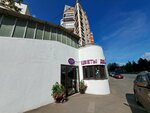 Flowerhills (Krylatskye Kholmy Street, 3к2) ، محل زهور