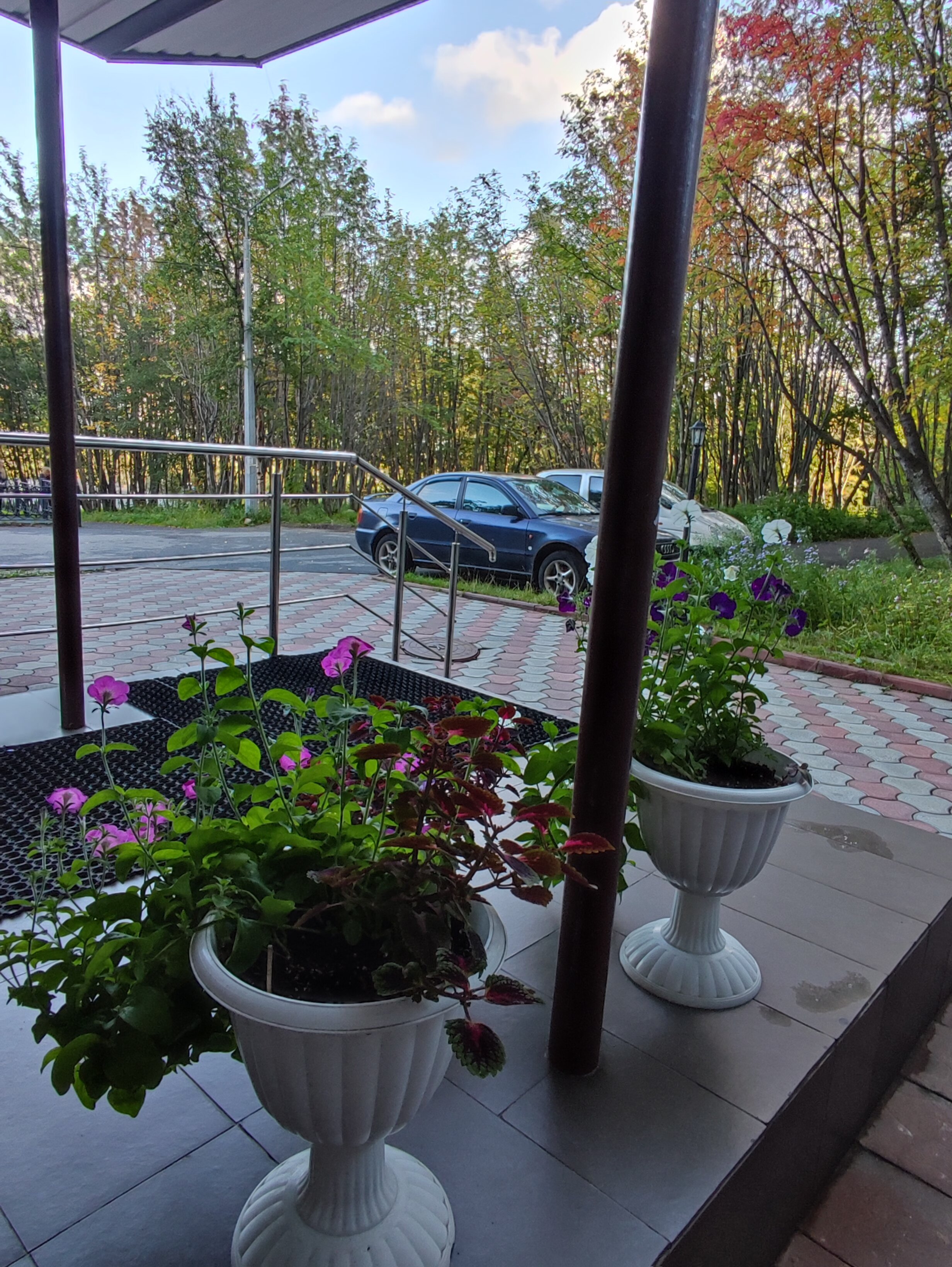 Фото Полярный круг